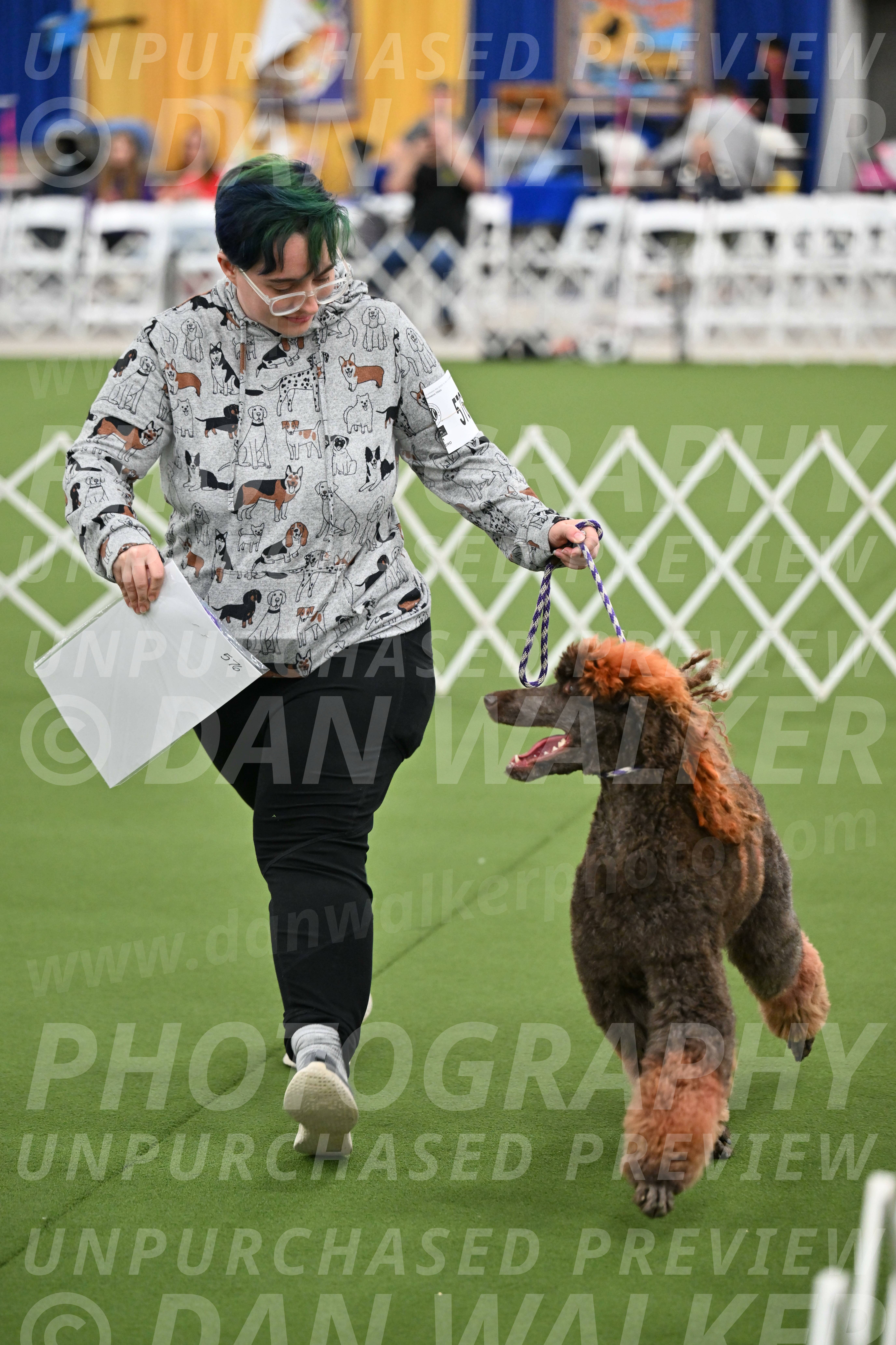 Parade-of-Titles_2844