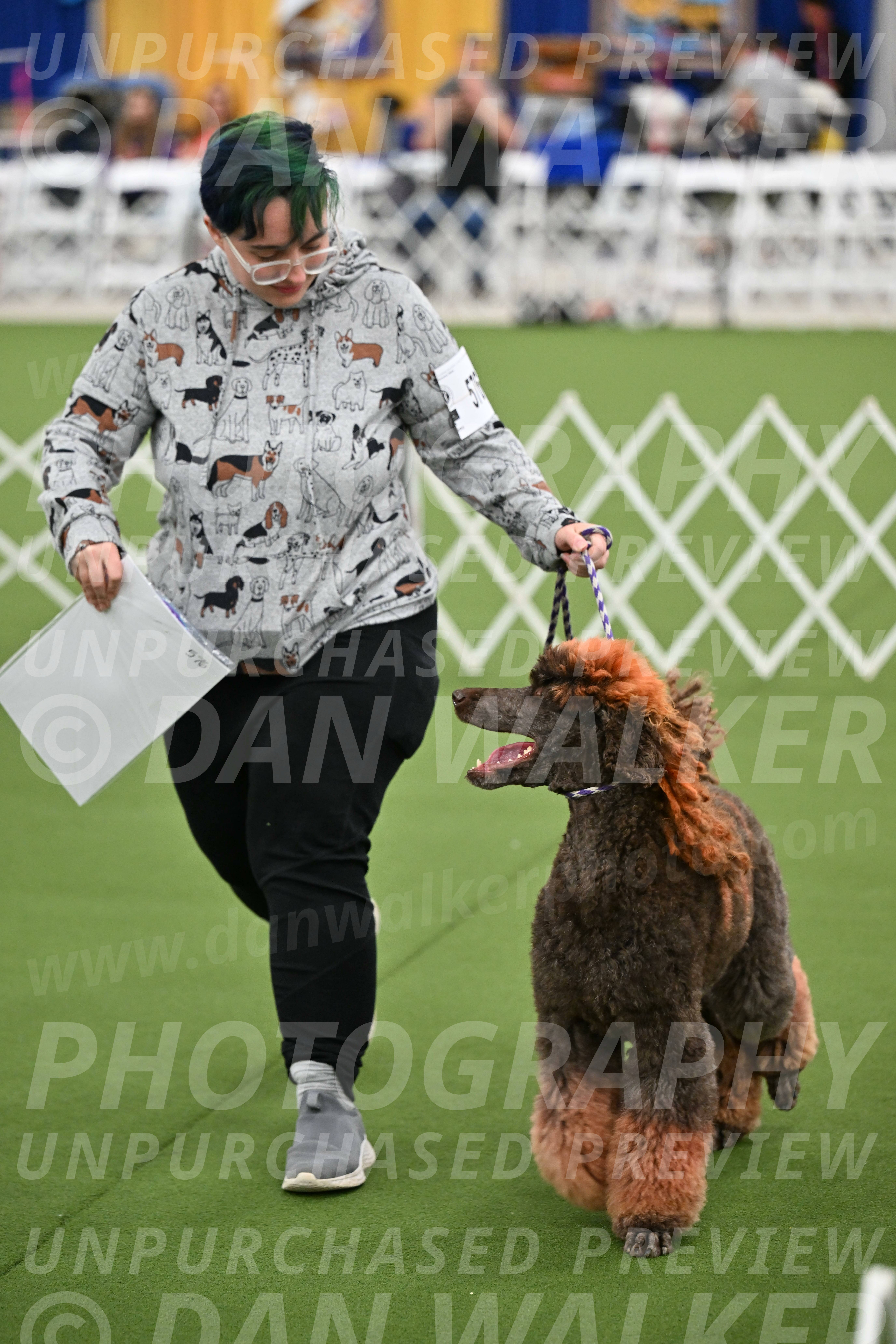 Parade-of-Titles_2845