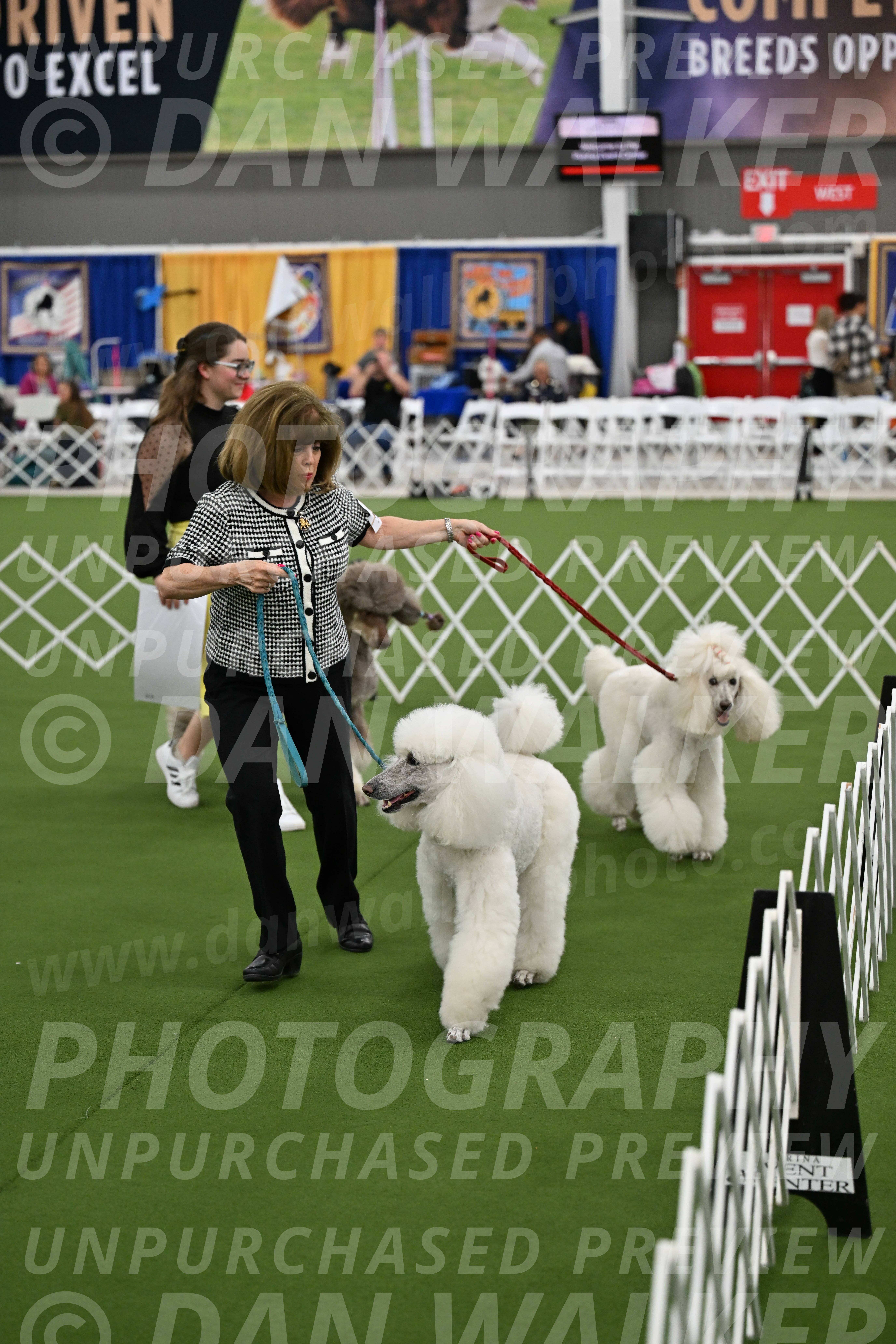 Parade-of-Titles_2846