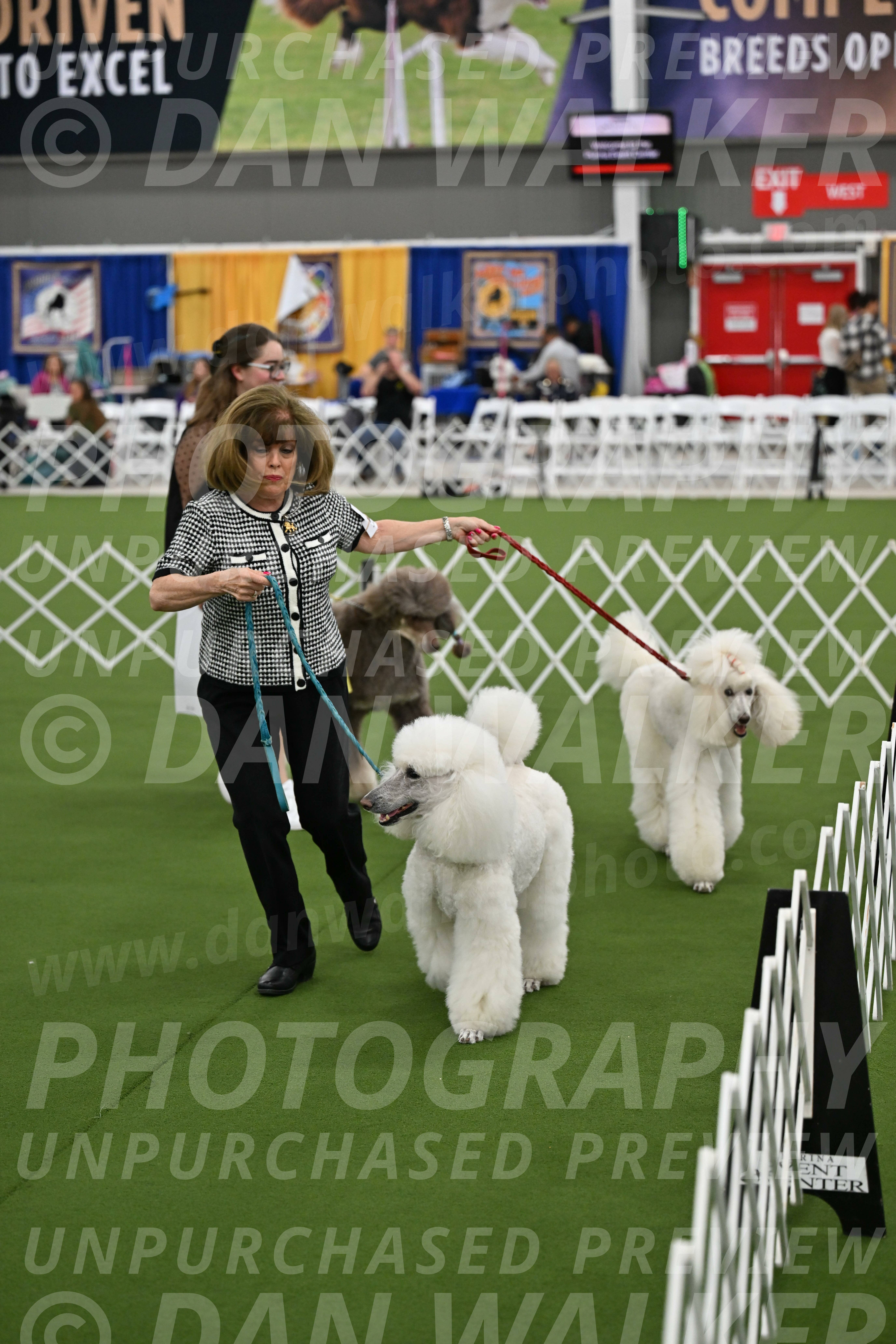 Parade-of-Titles_2847