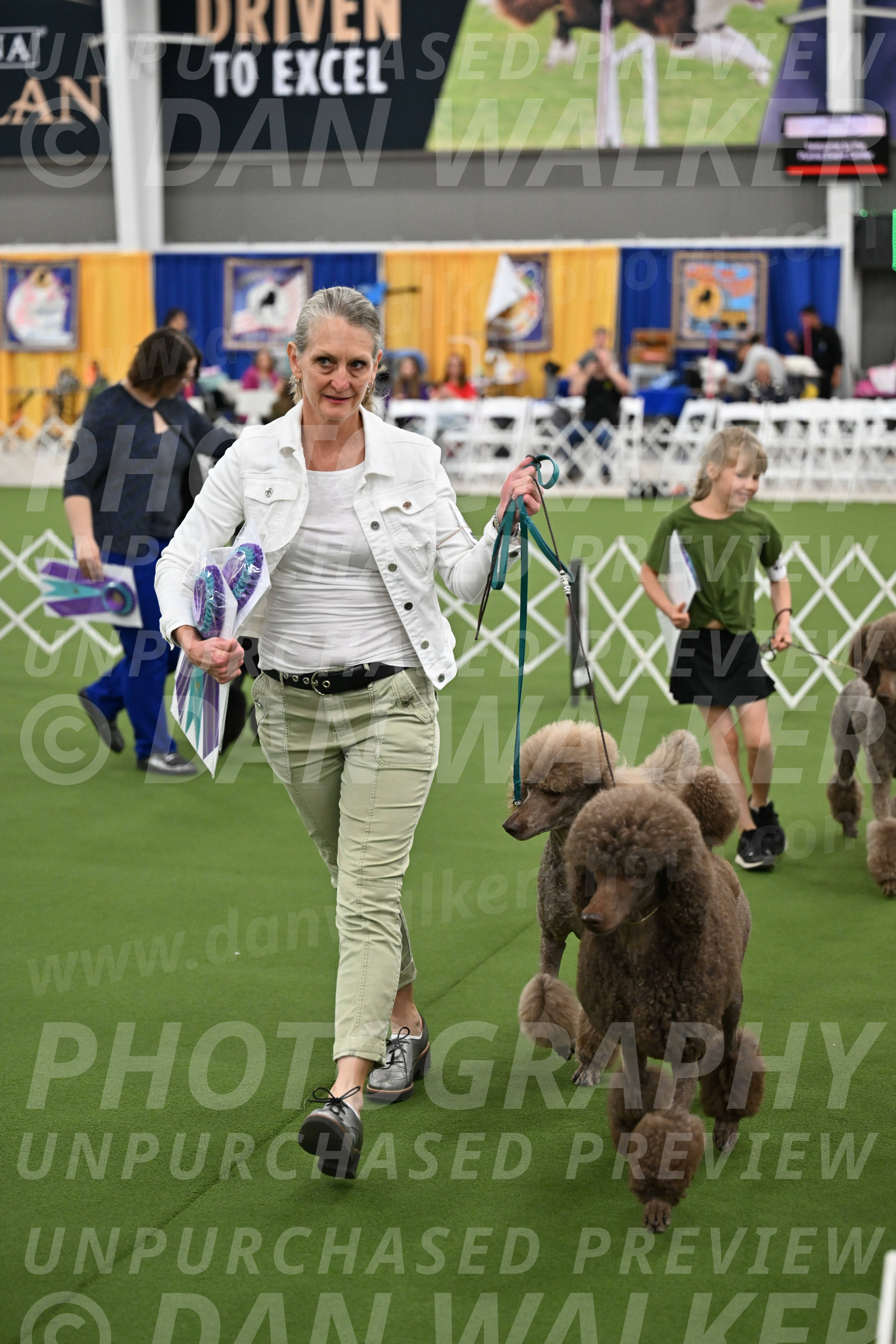 Parade-of-Titles_2849