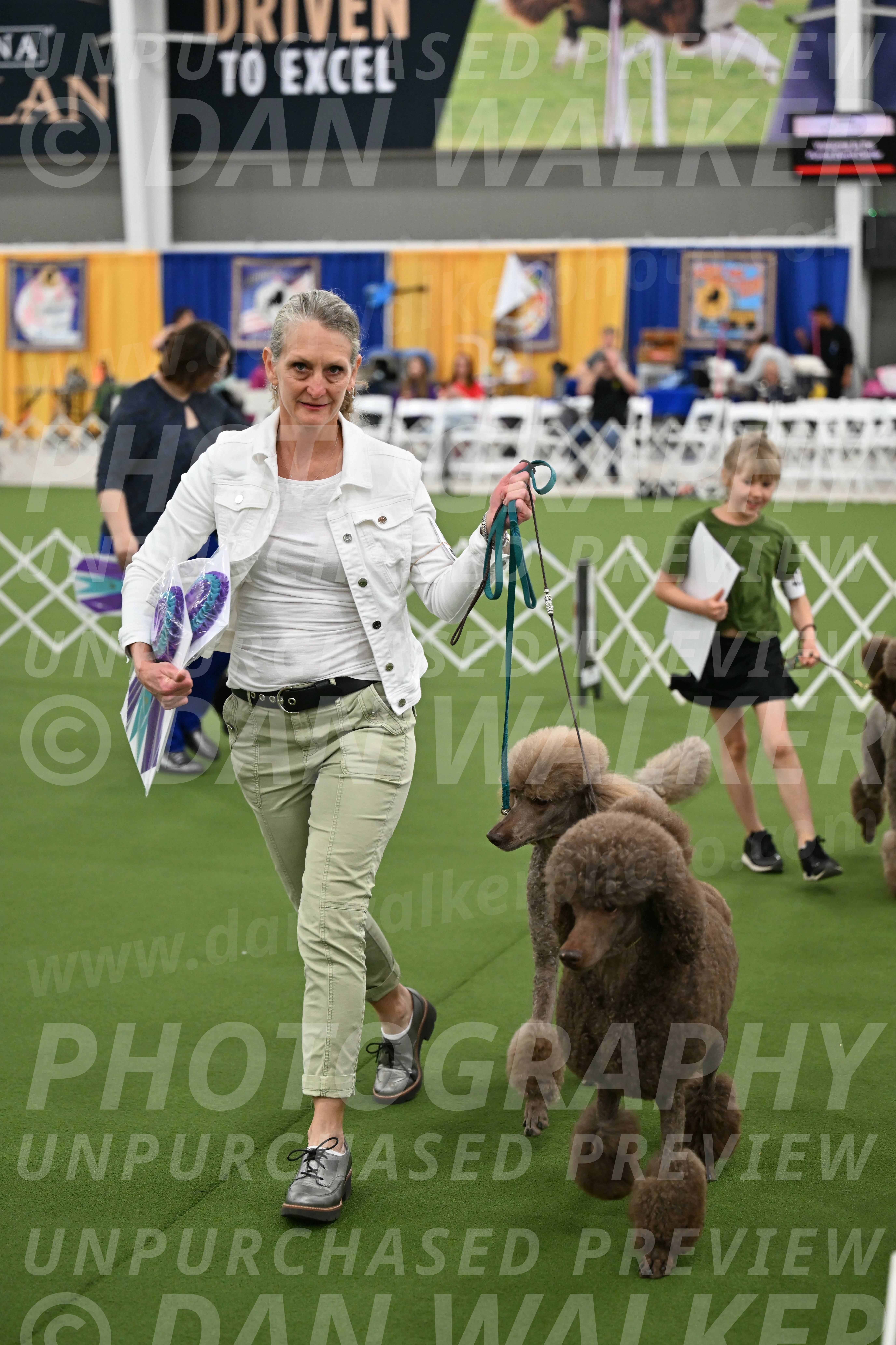 Parade-of-Titles_2850