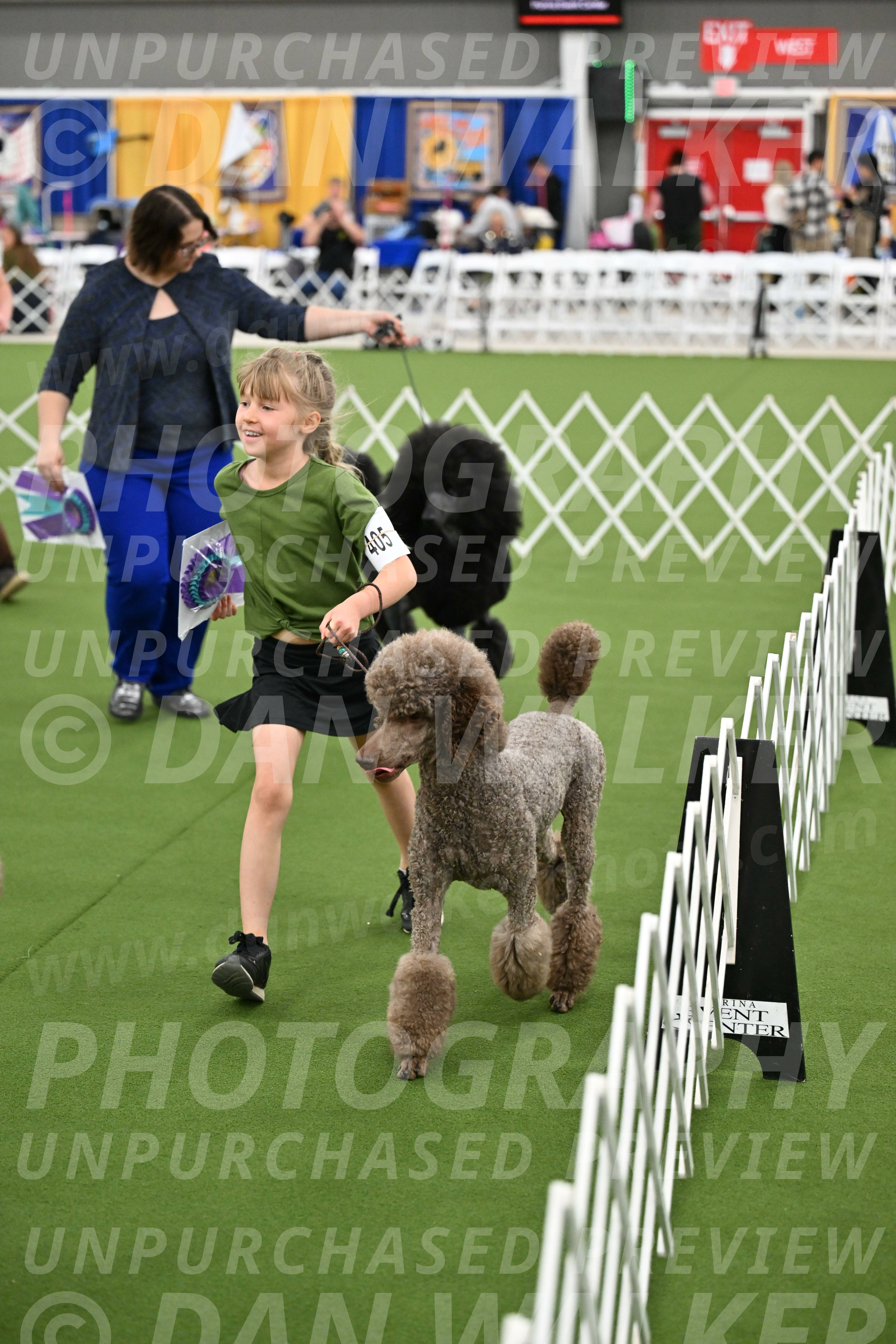 Parade-of-Titles_2853