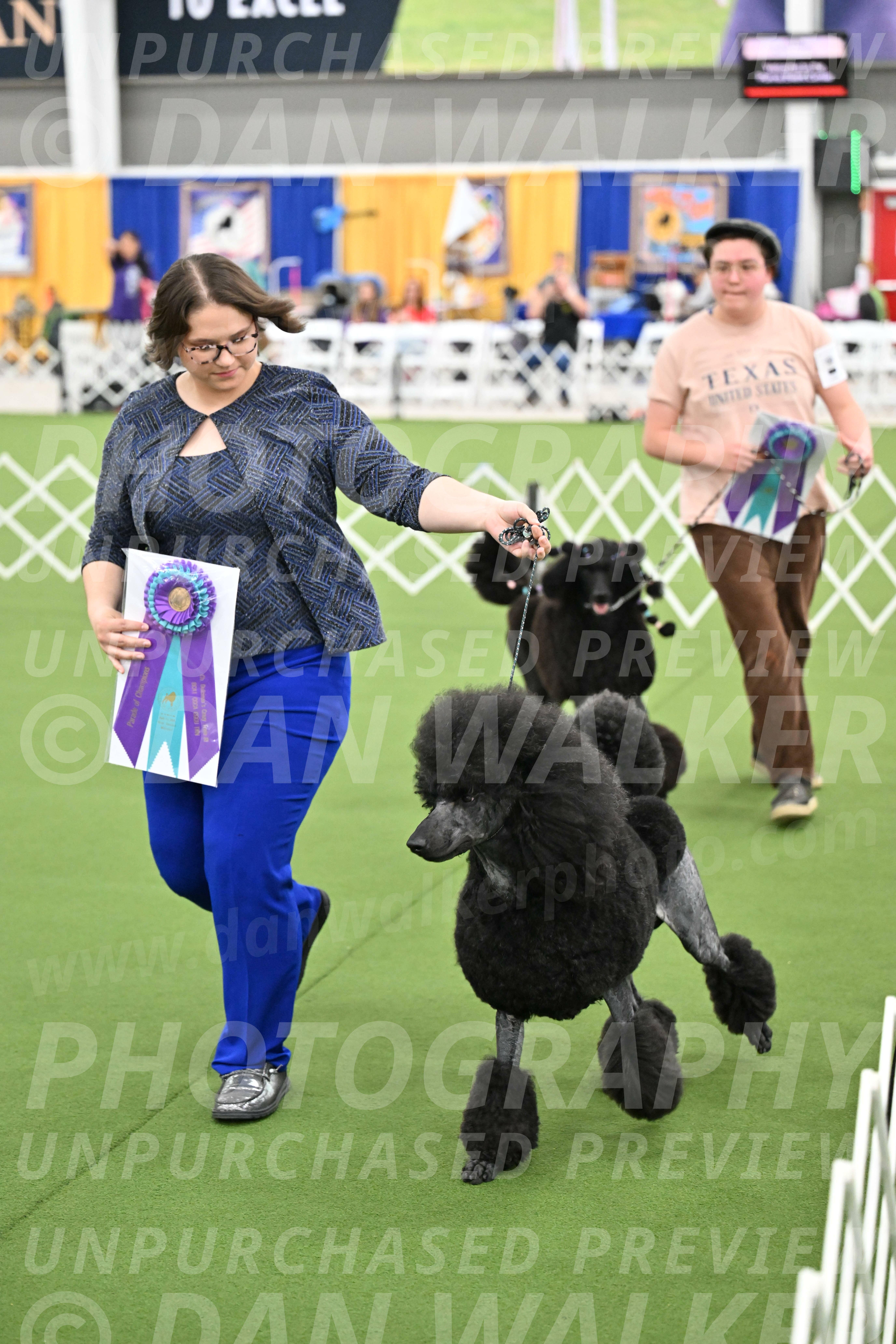 Parade-of-Titles_2854