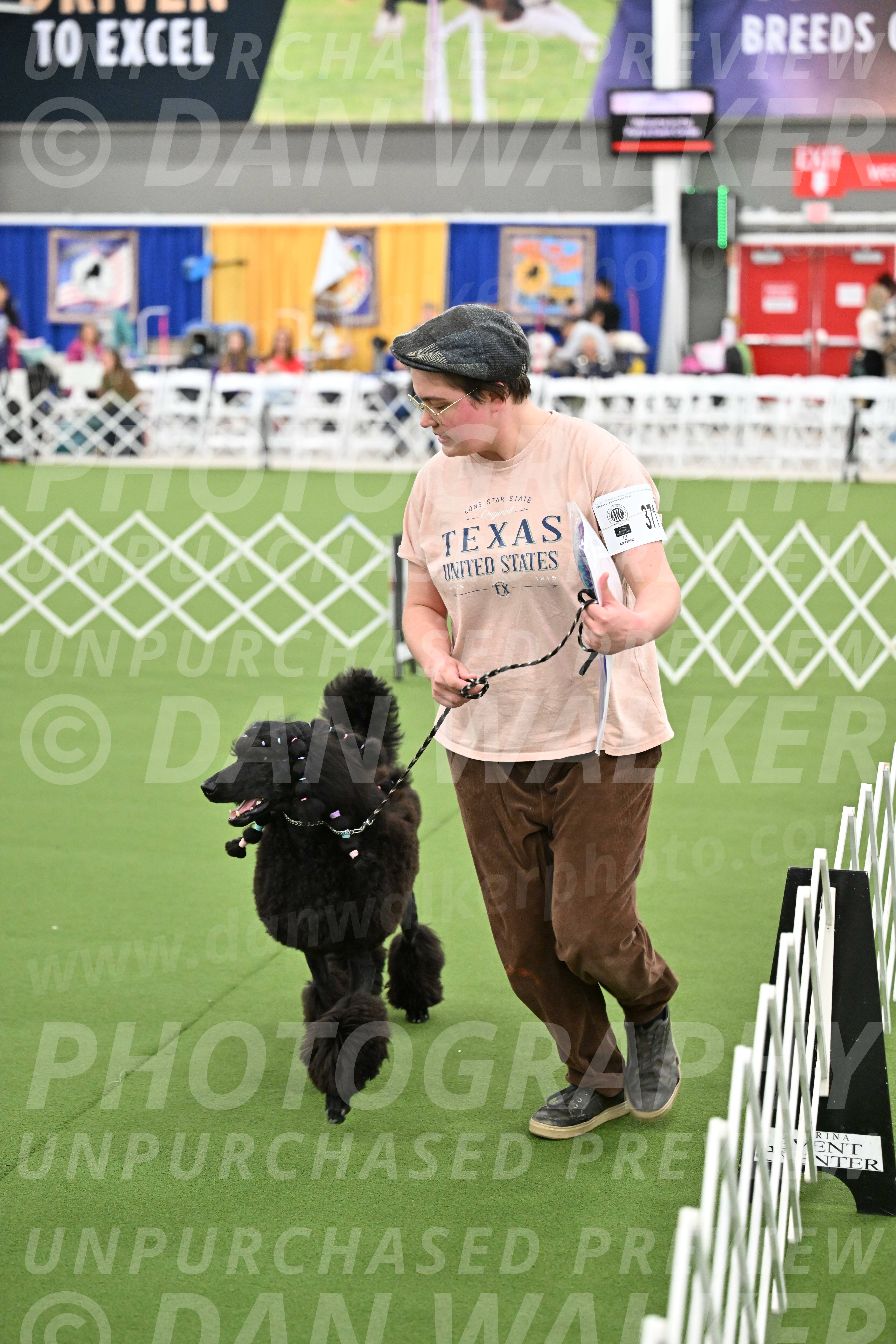 Parade-of-Titles_2856