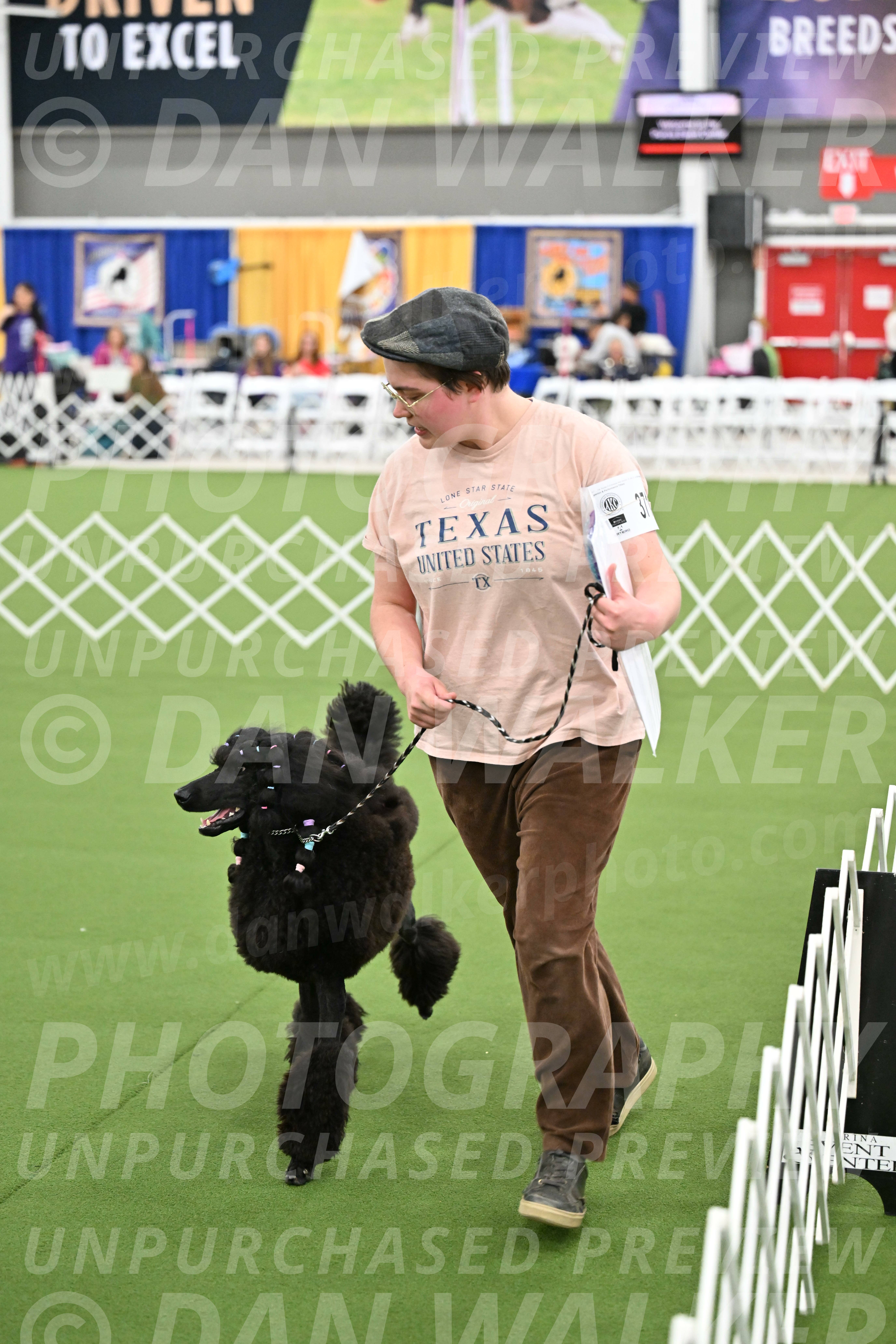 Parade-of-Titles_2857