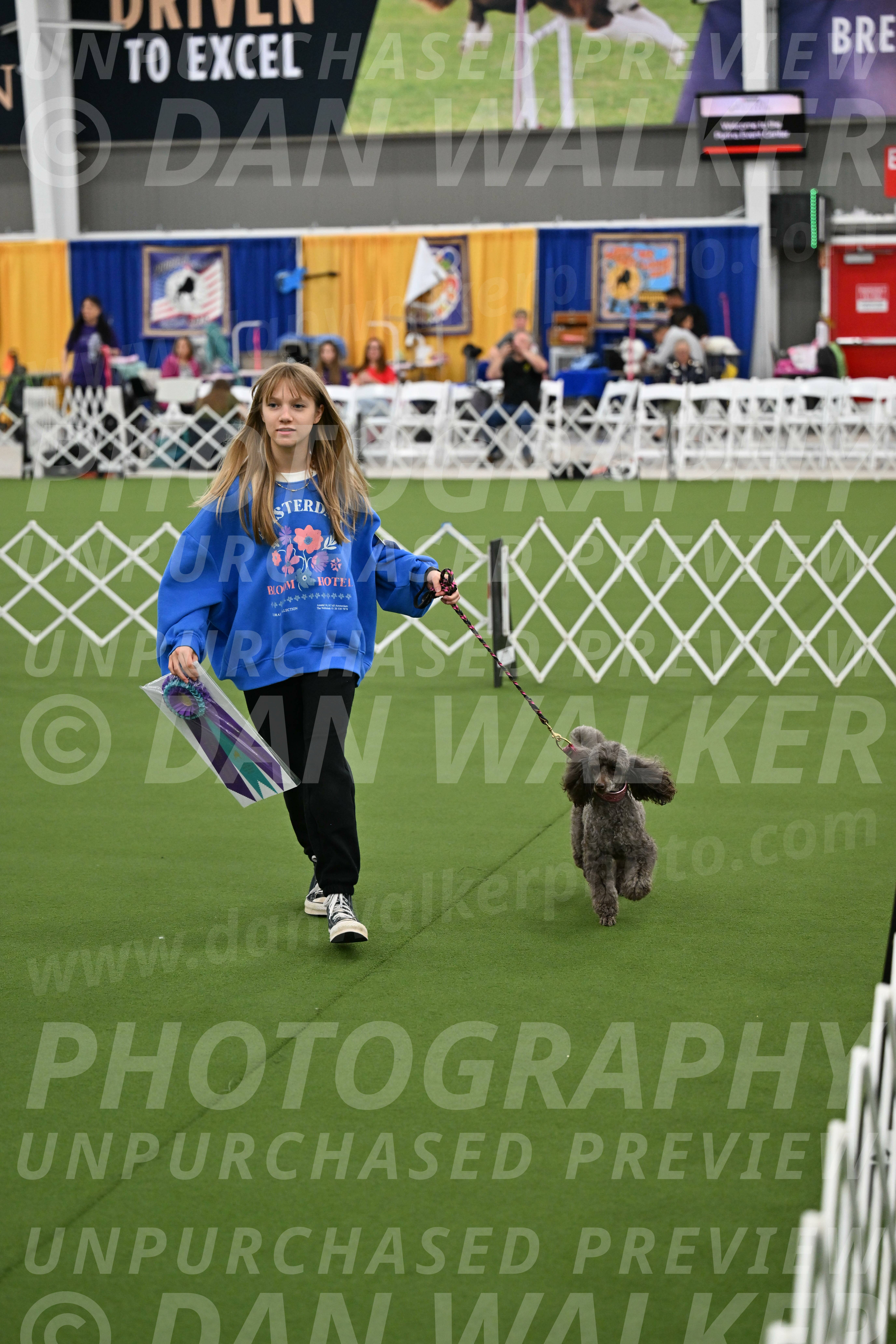 Parade-of-Titles_2858