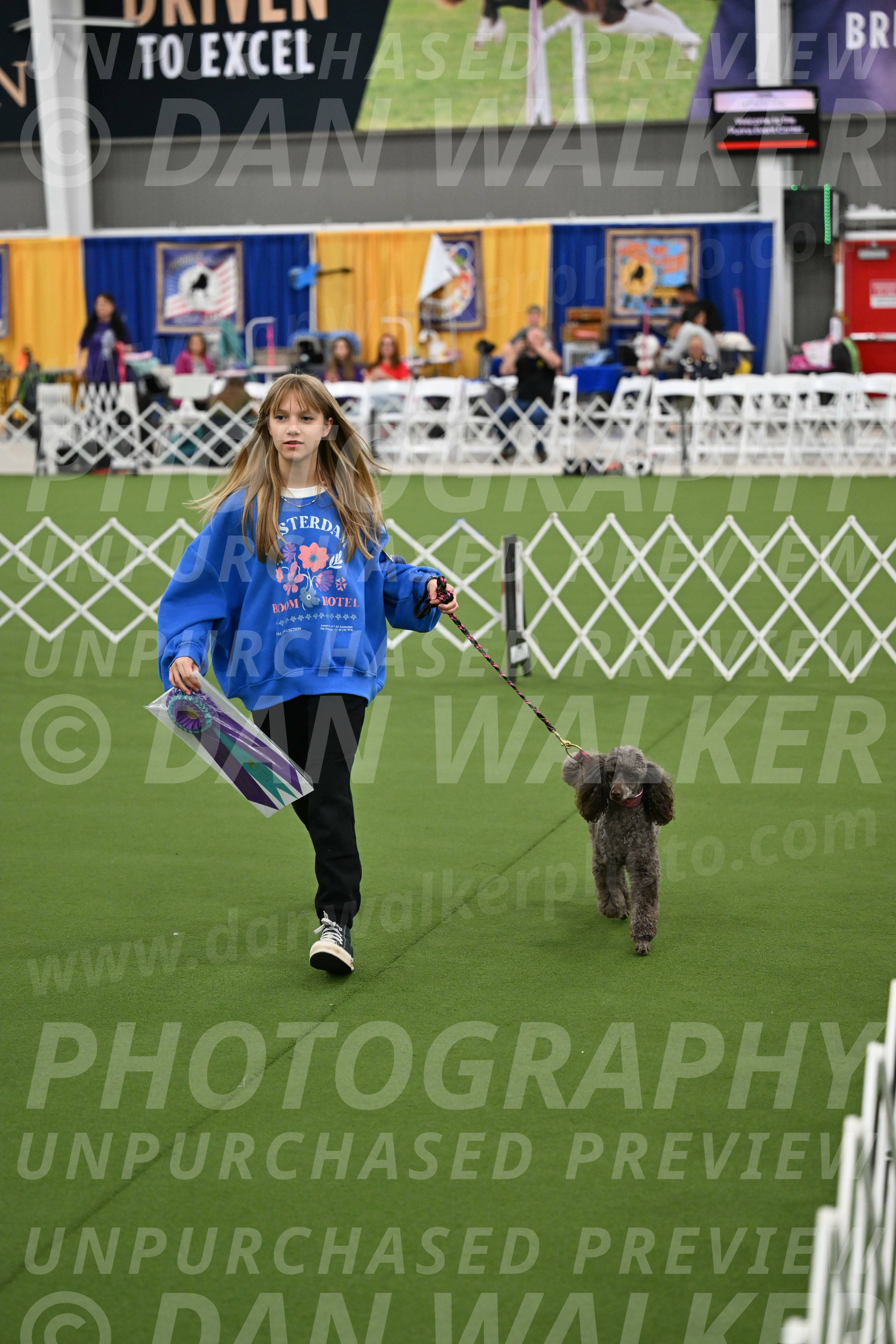 Parade-of-Titles_2859