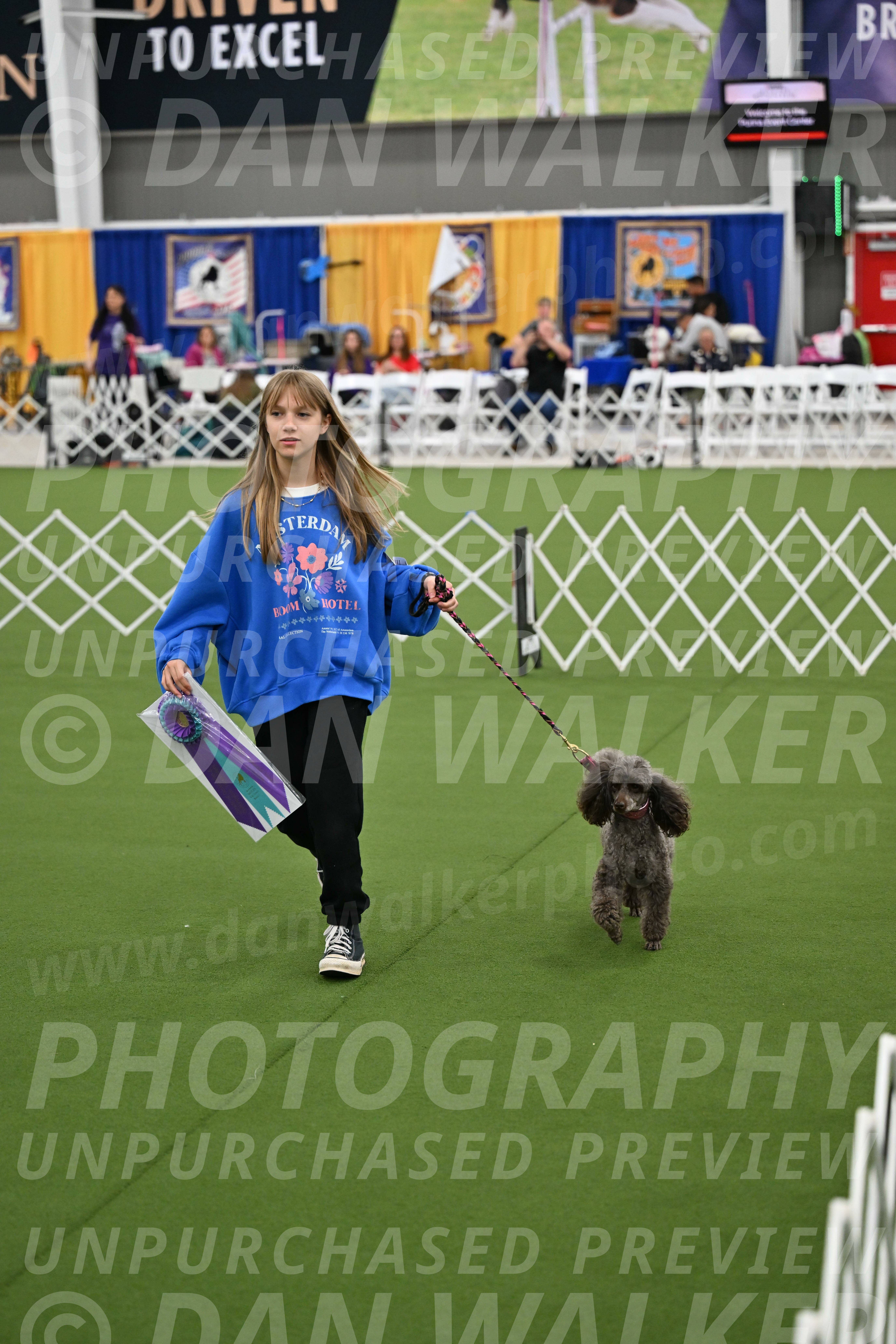 Parade-of-Titles_2860