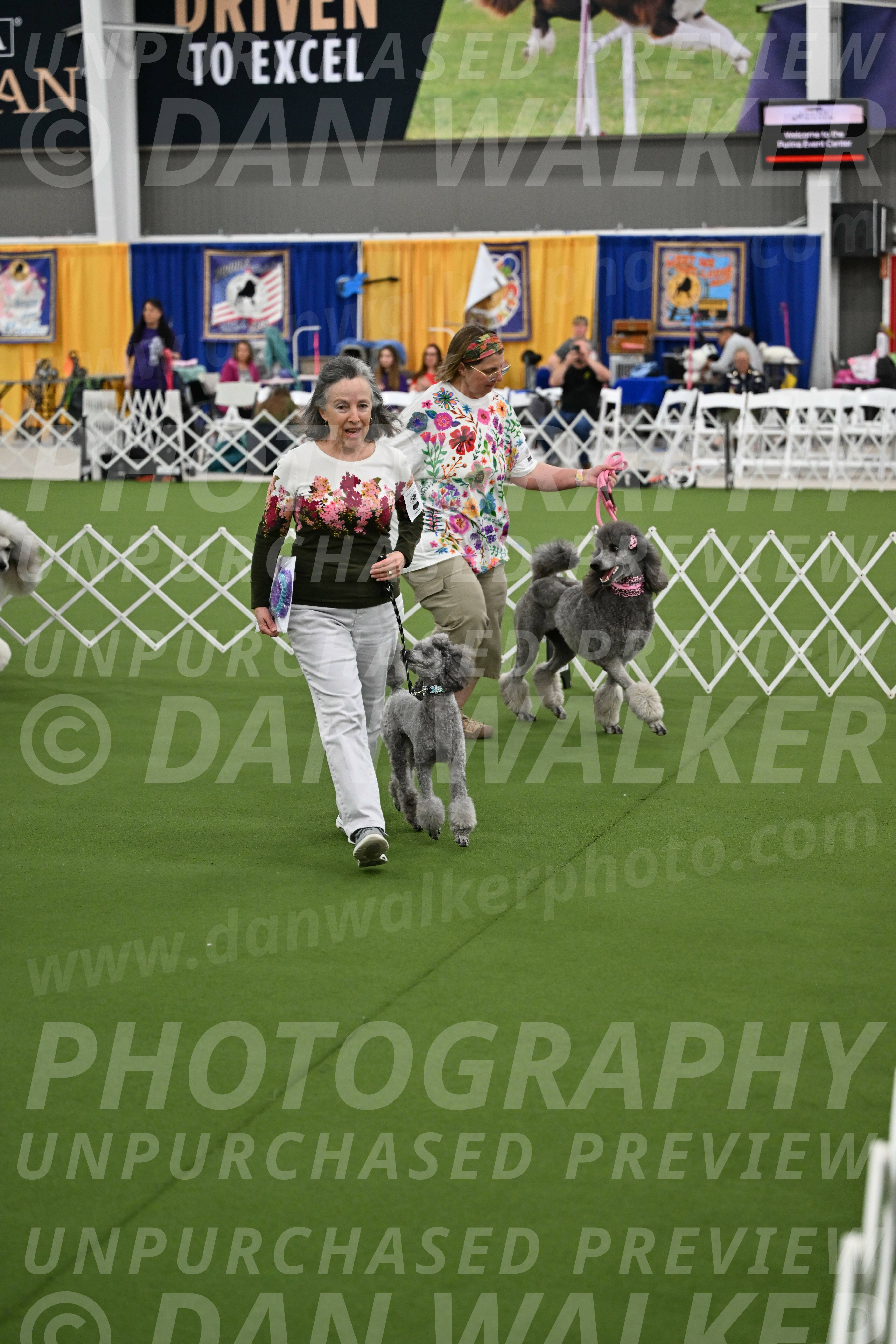 Parade-of-Titles_2862