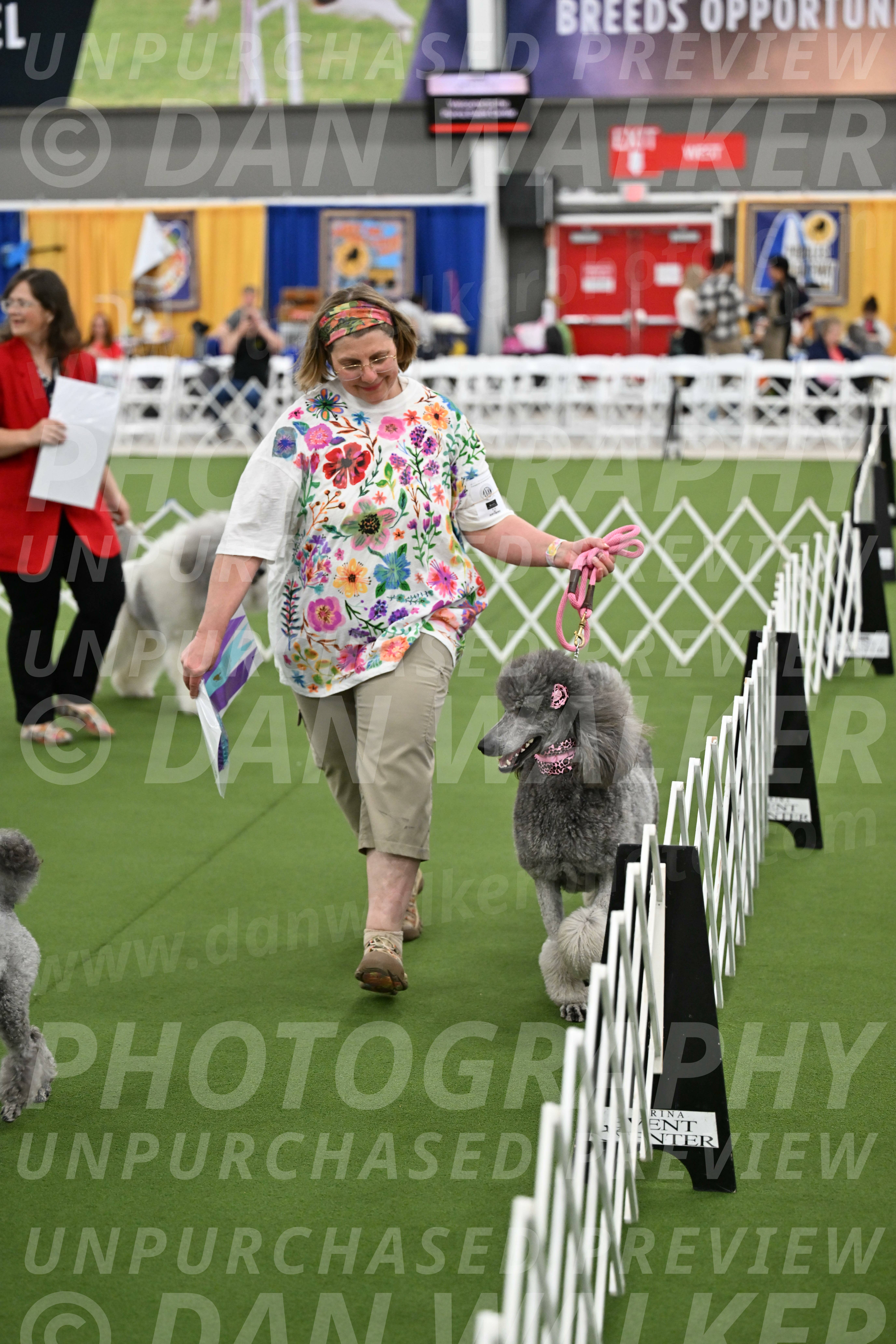 Parade-of-Titles_2864