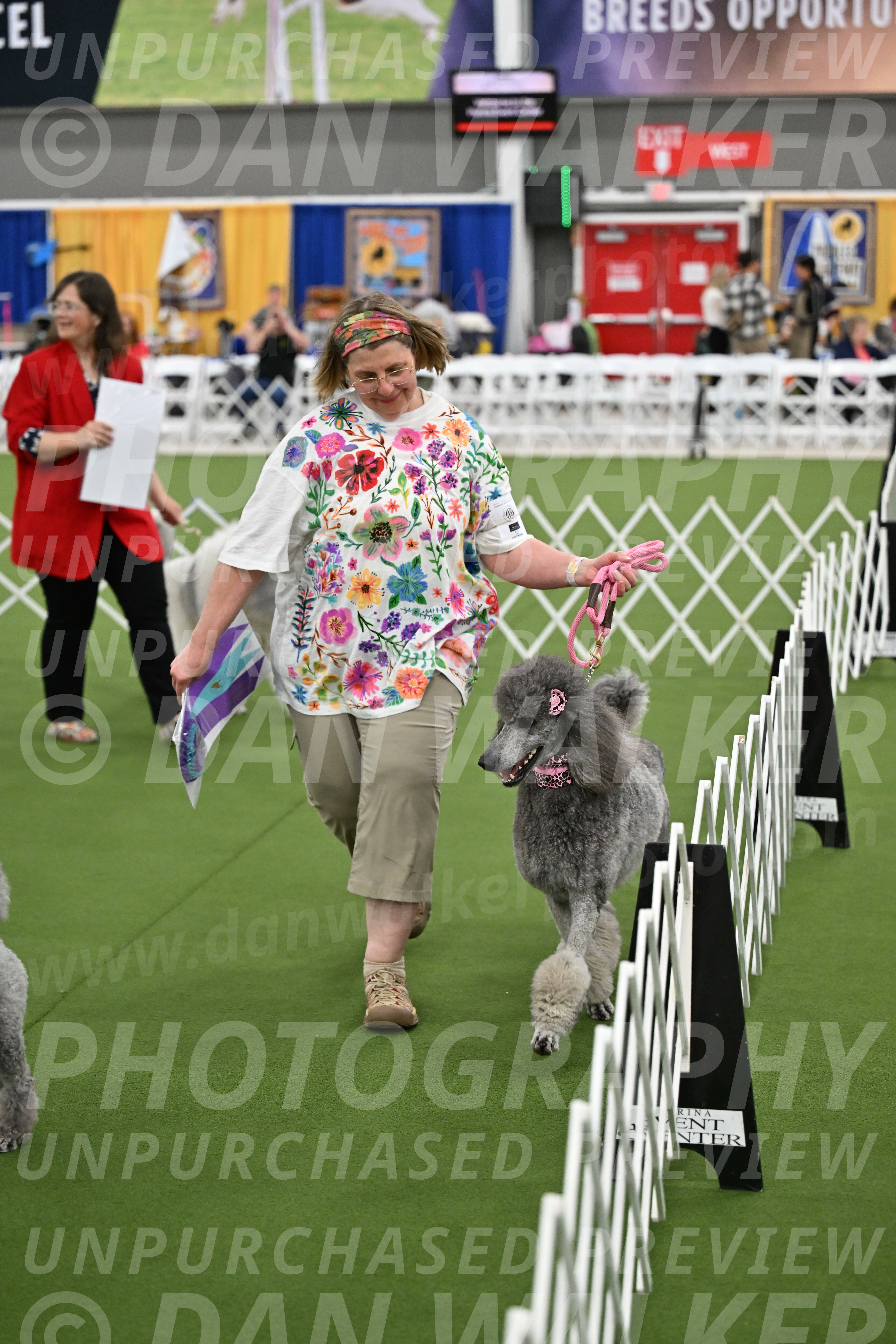 Parade-of-Titles_2865