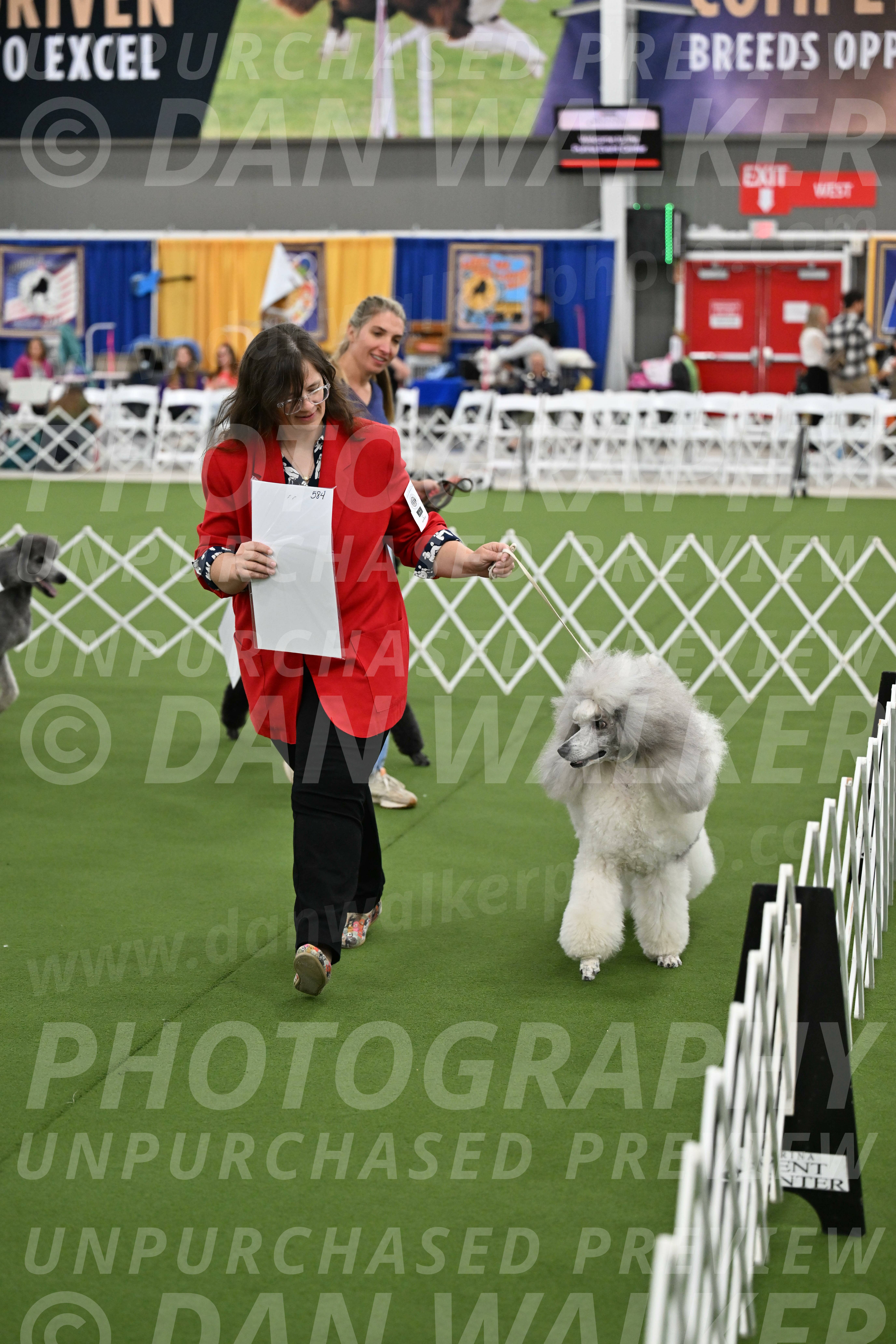 Parade-of-Titles_2867
