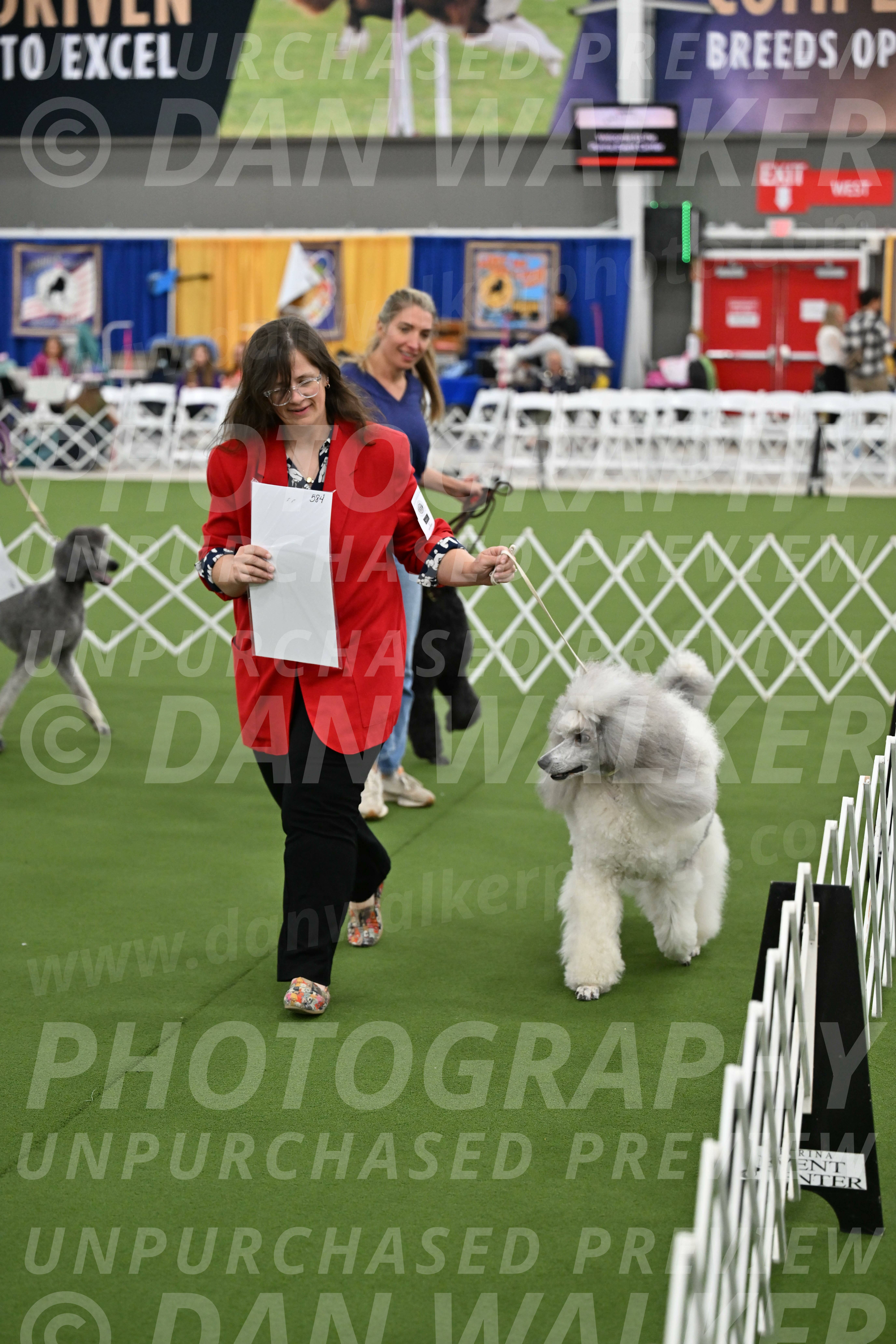 Parade-of-Titles_2868