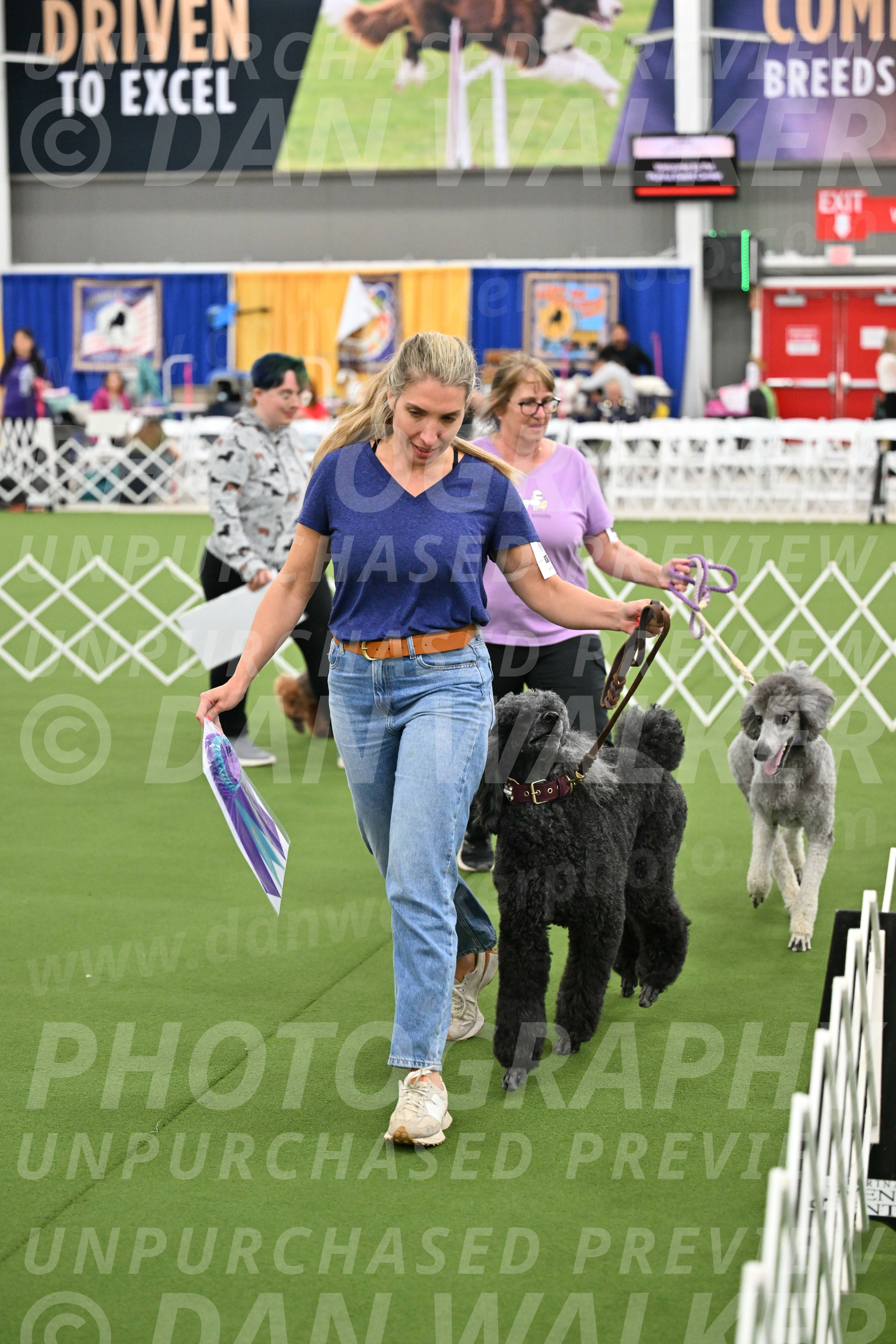 Parade-of-Titles_2869