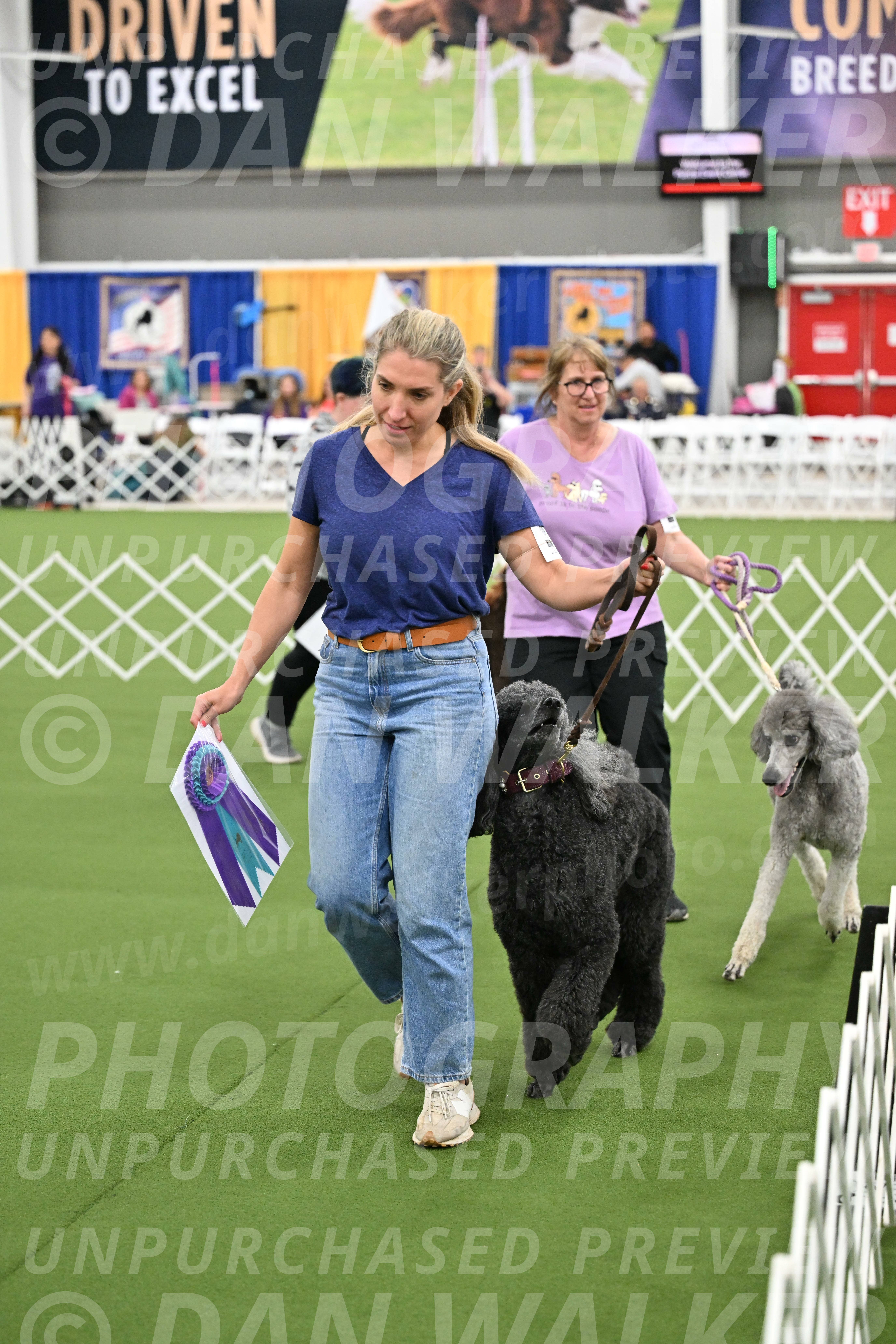 Parade-of-Titles_2870