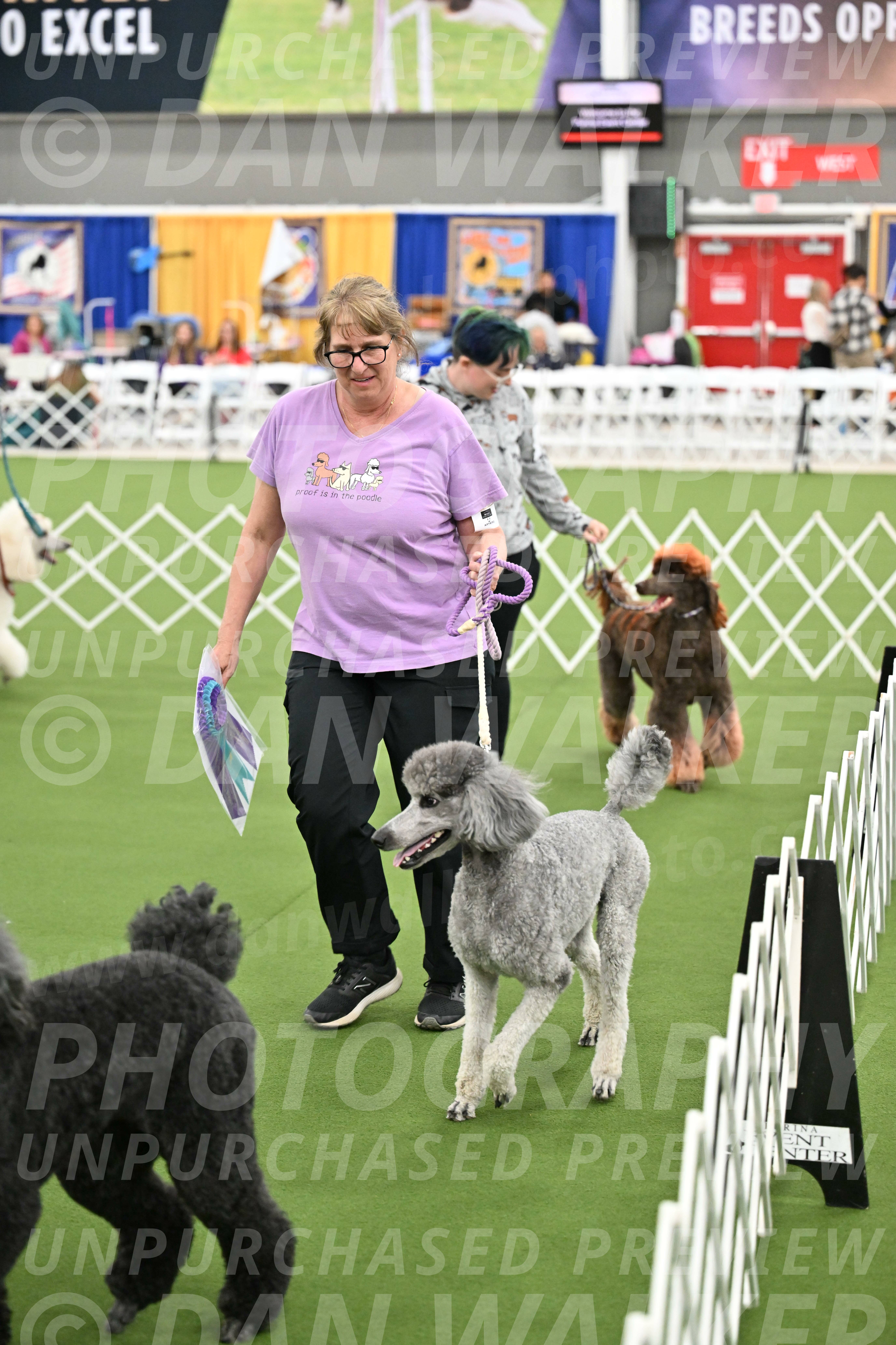 Parade-of-Titles_2871