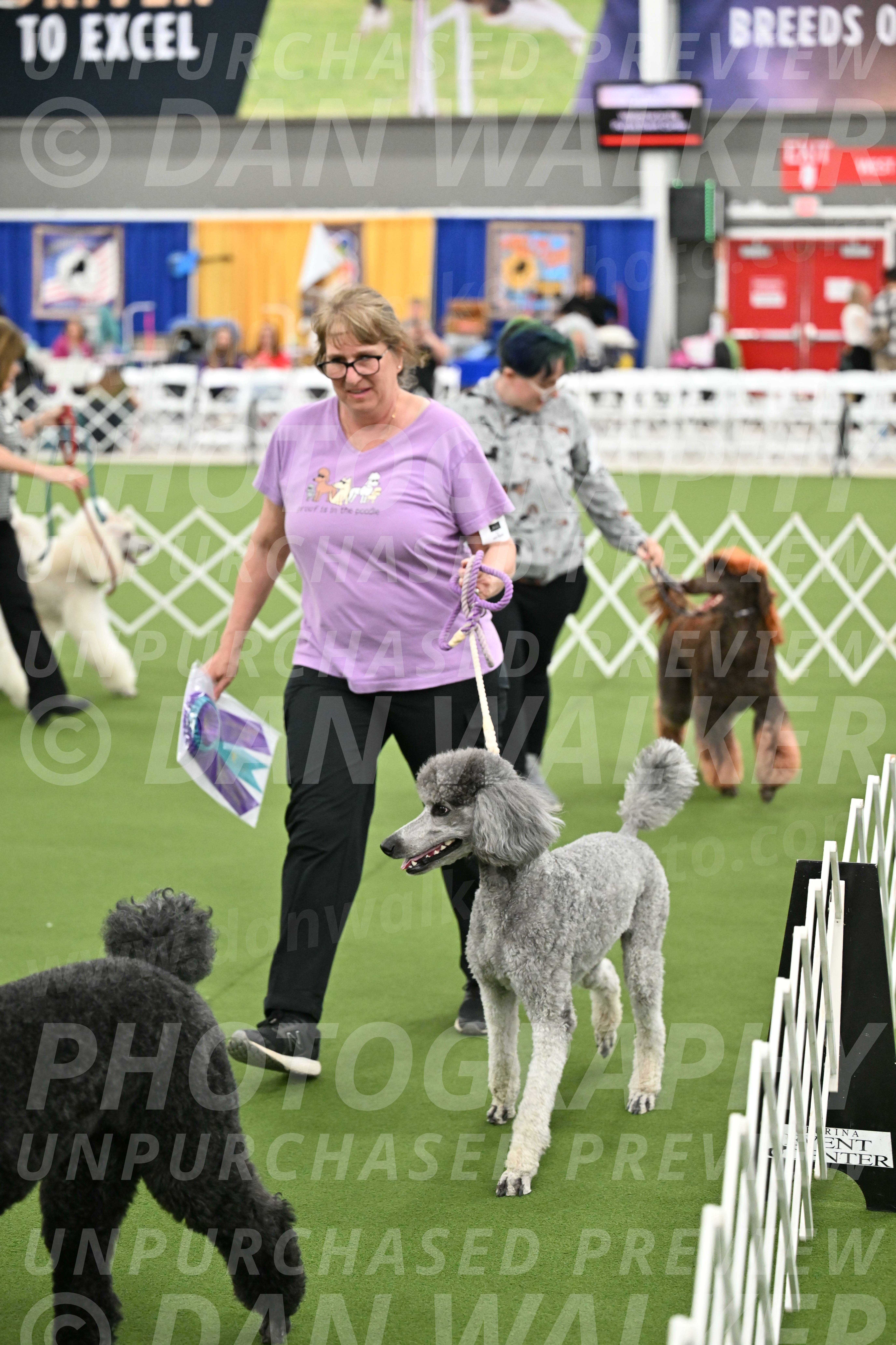 Parade-of-Titles_2872