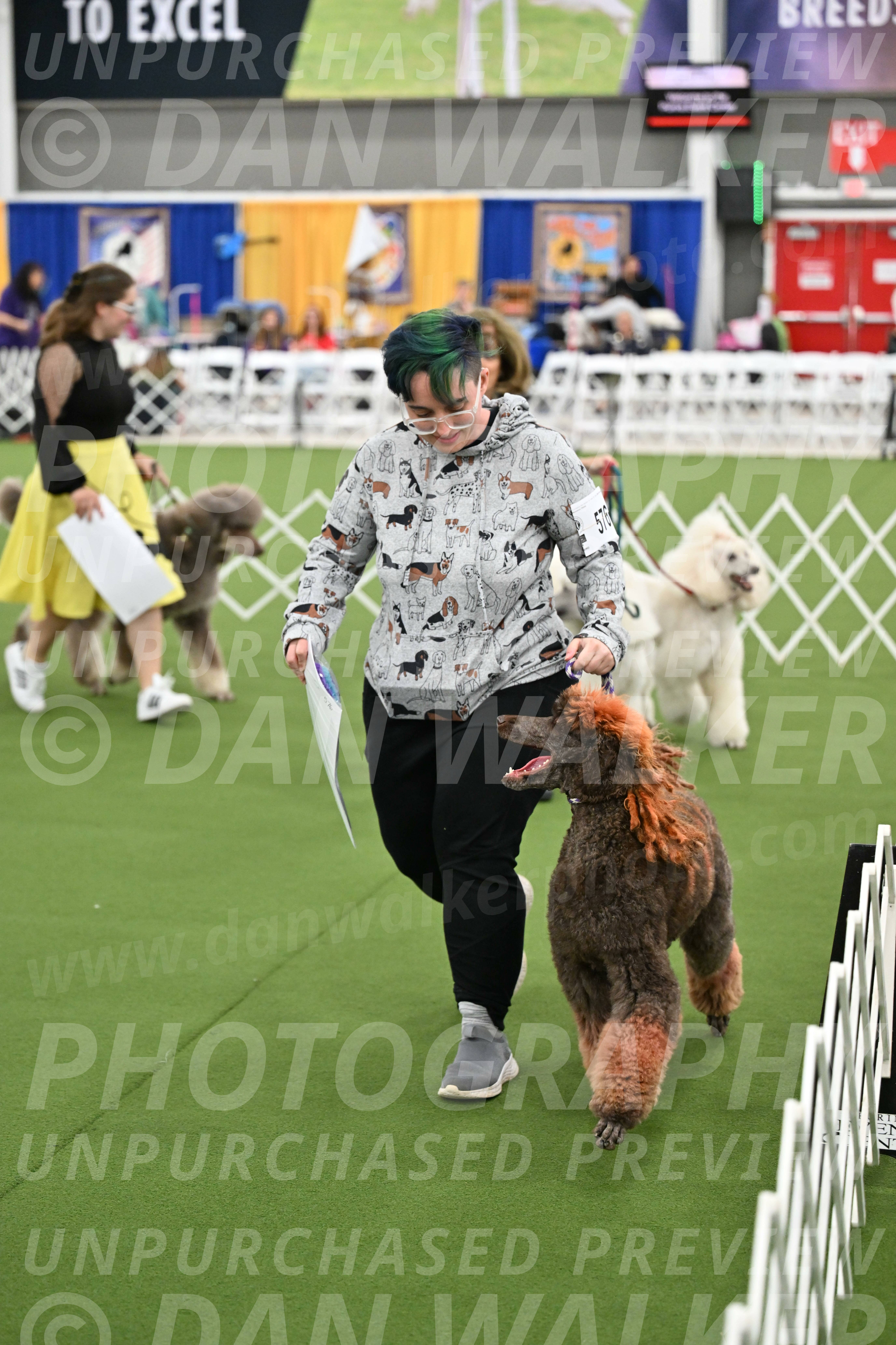 Parade-of-Titles_2873