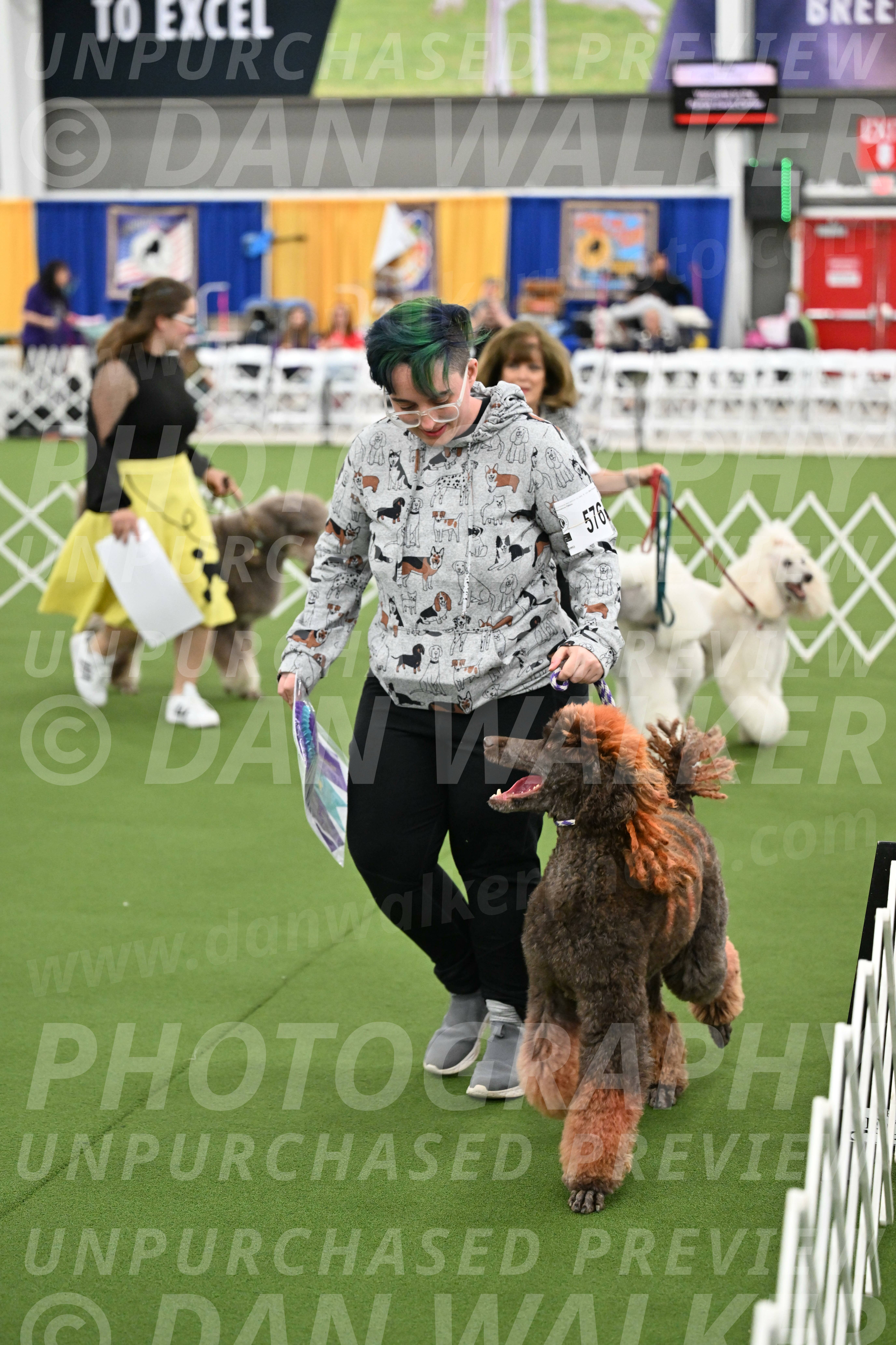 Parade-of-Titles_2874