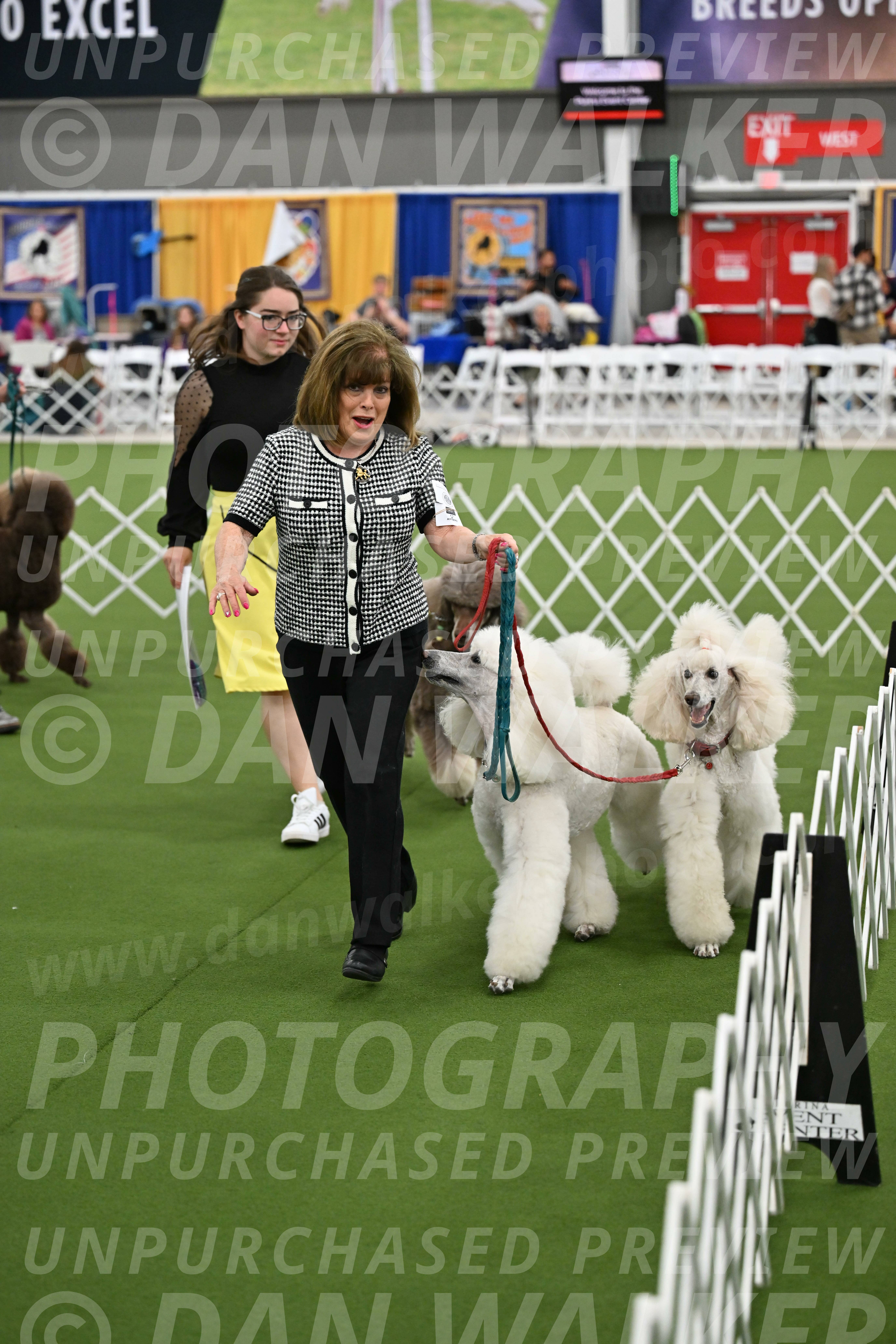 Parade-of-Titles_2875
