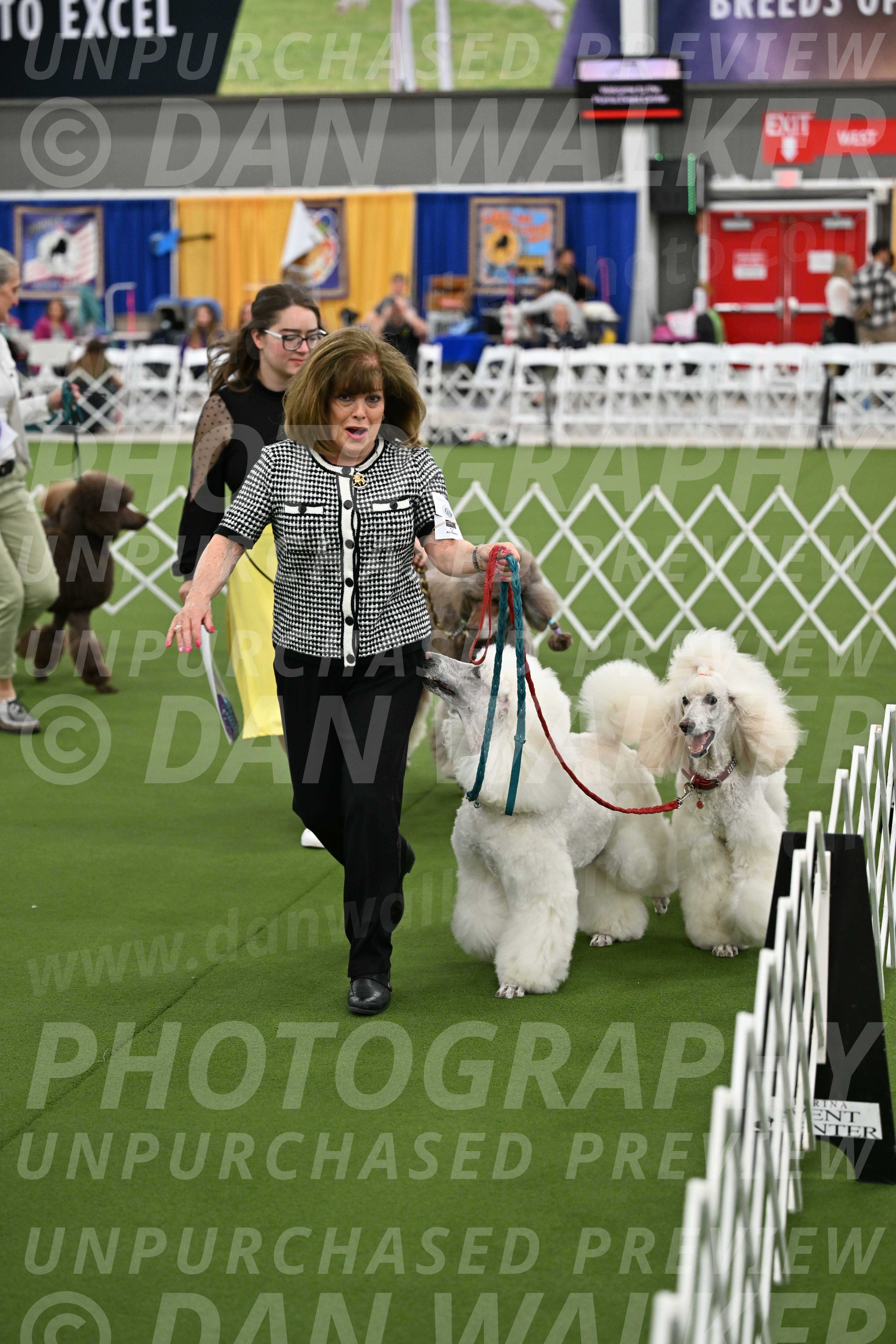 Parade-of-Titles_2876
