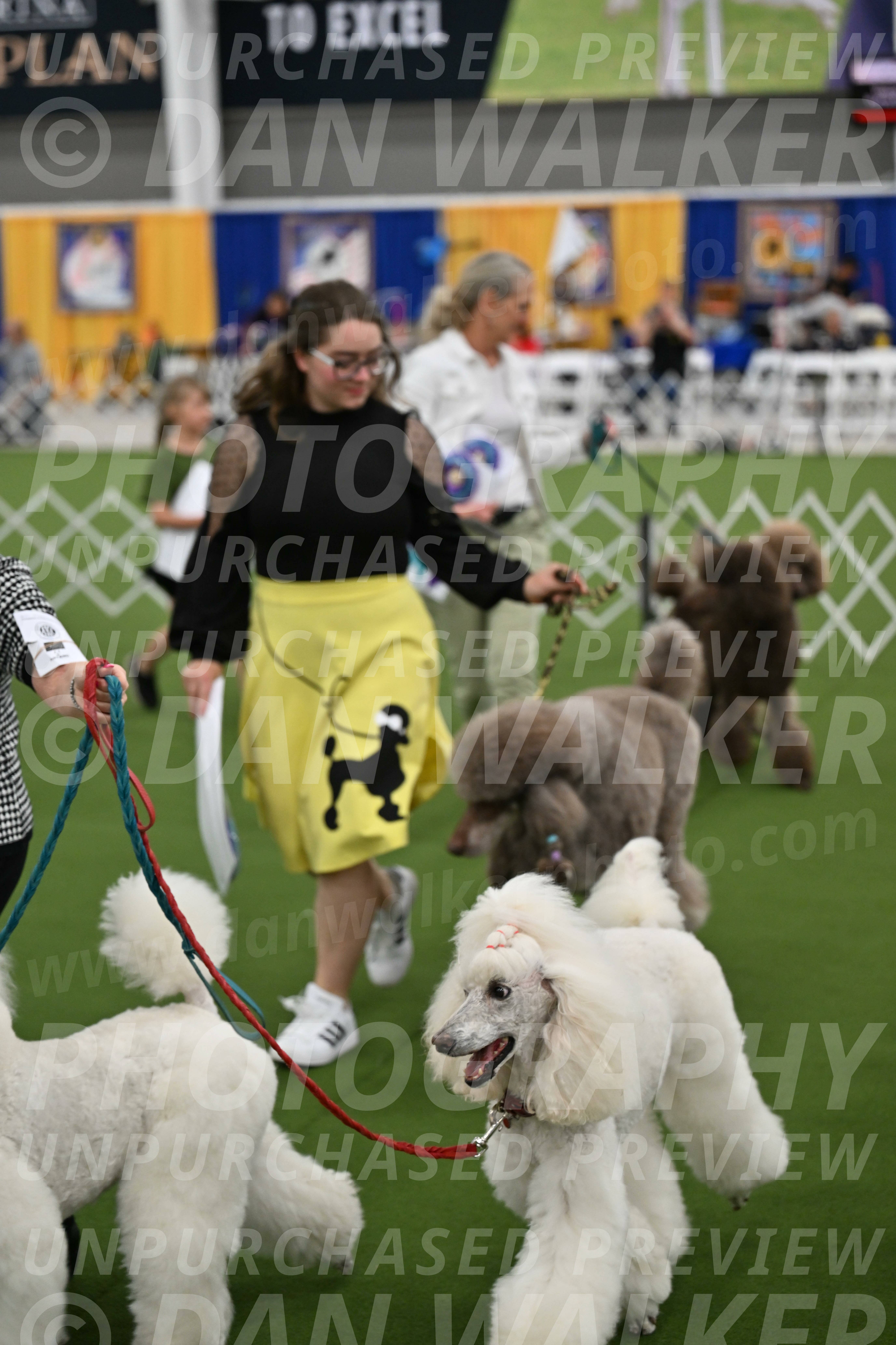 Parade-of-Titles_2877