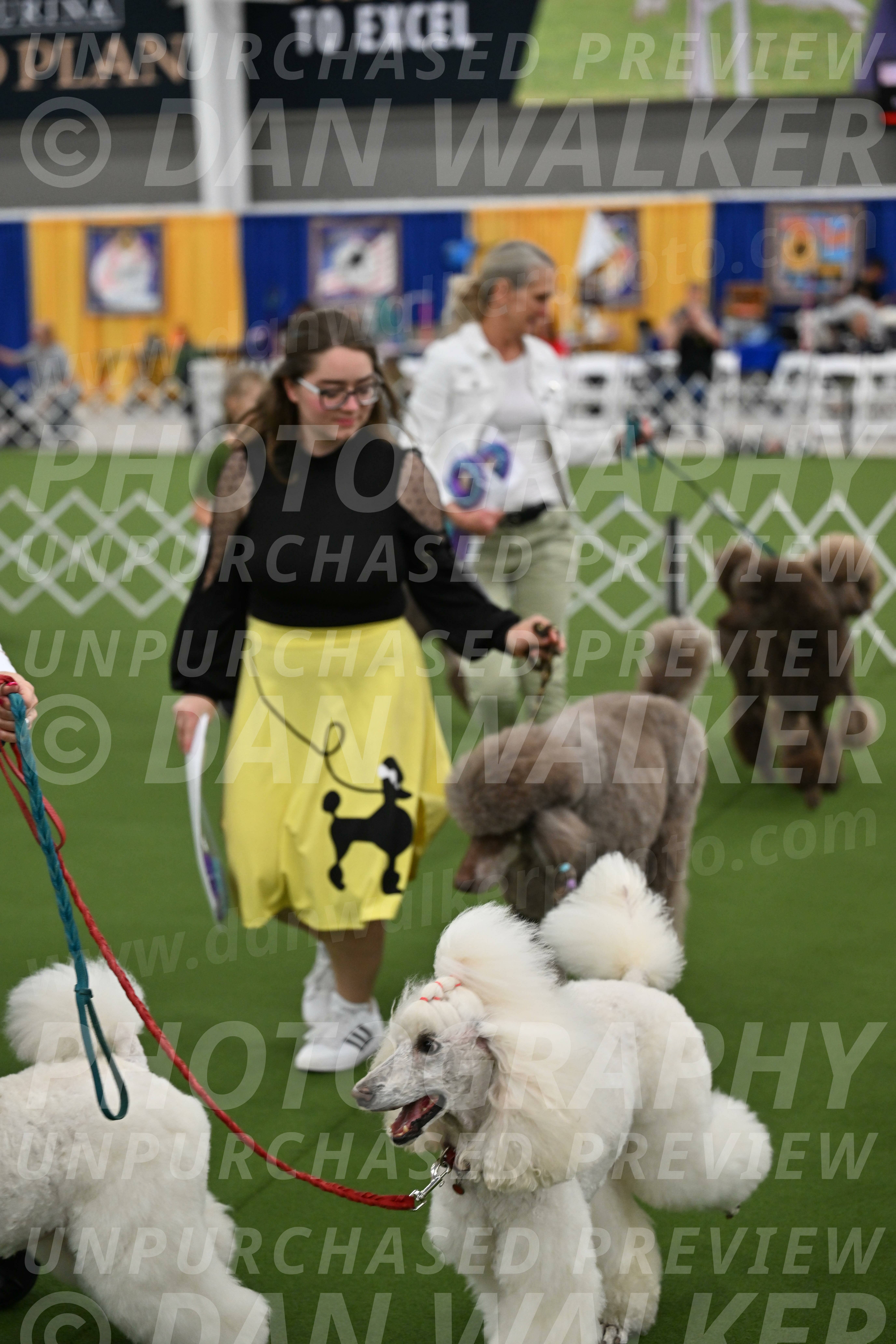 Parade-of-Titles_2878