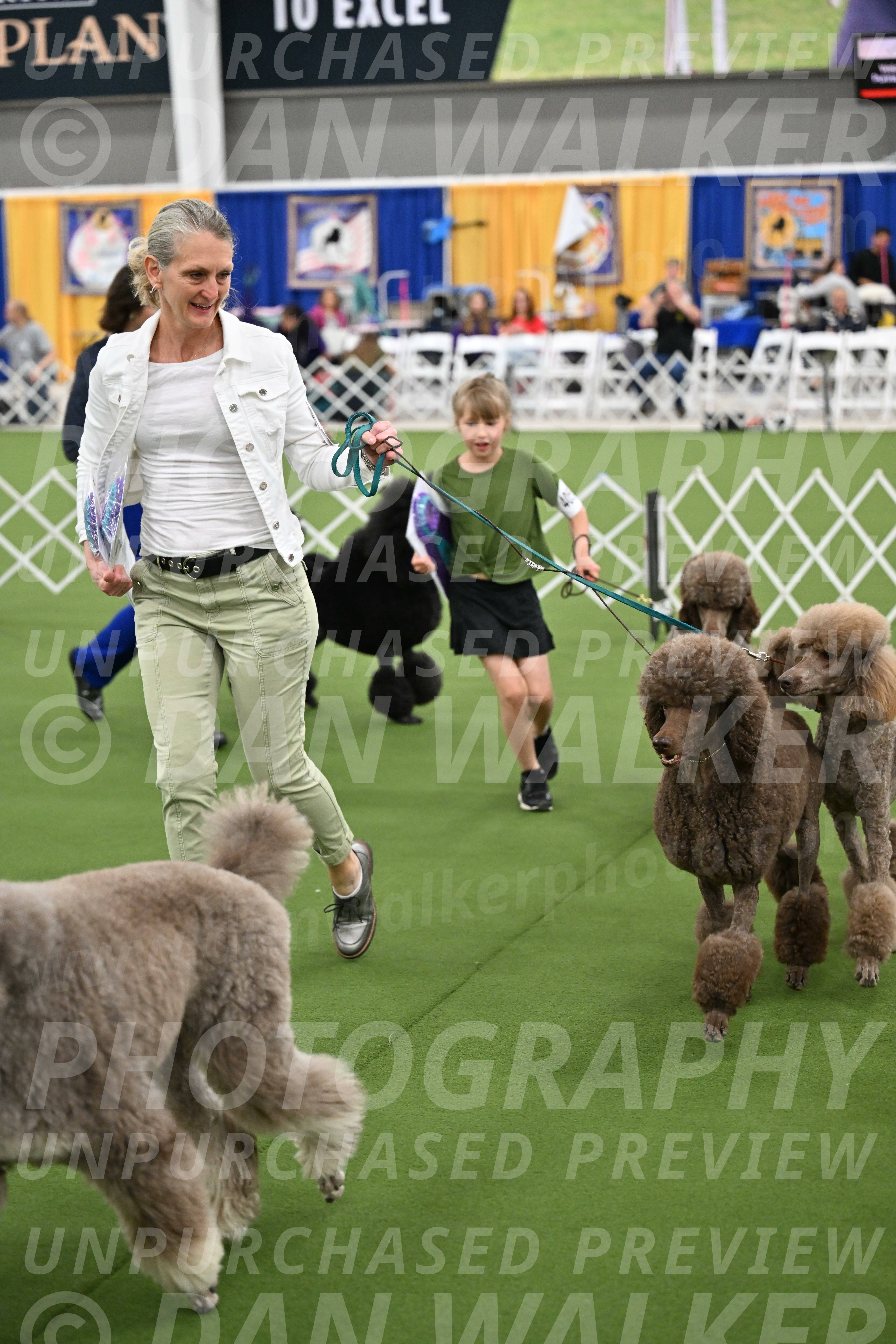 Parade-of-Titles_2879