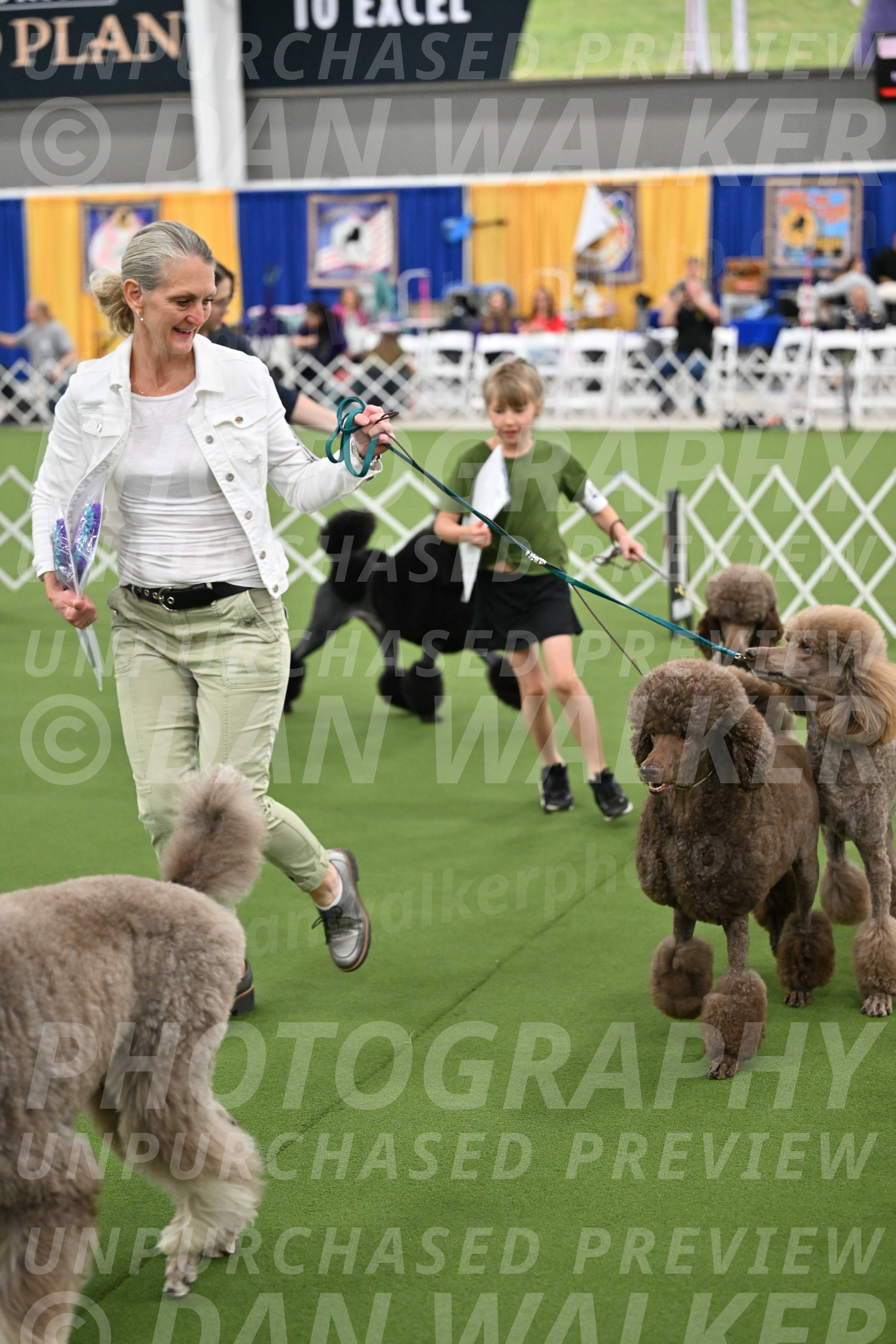Parade-of-Titles_2880