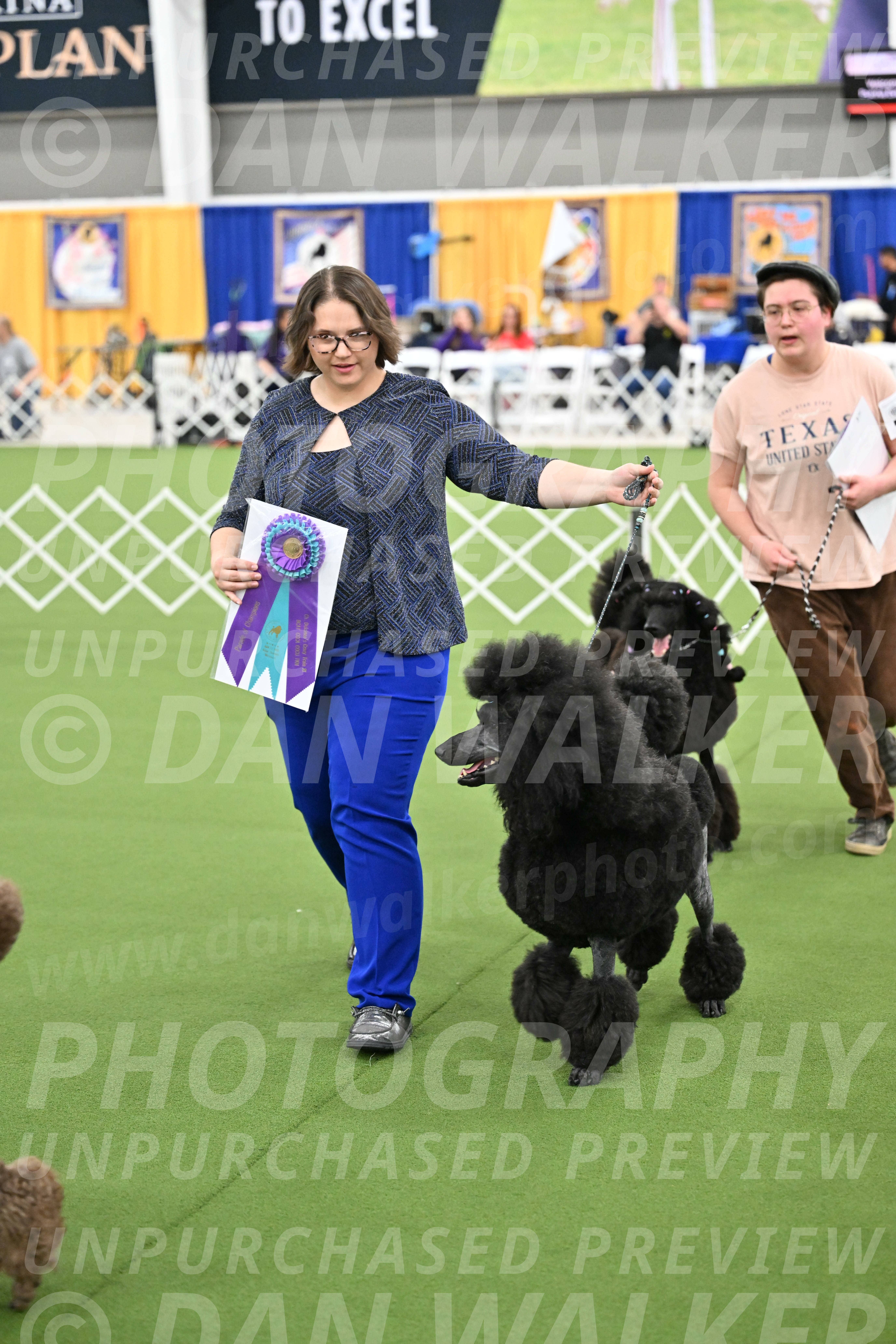 Parade-of-Titles_2884