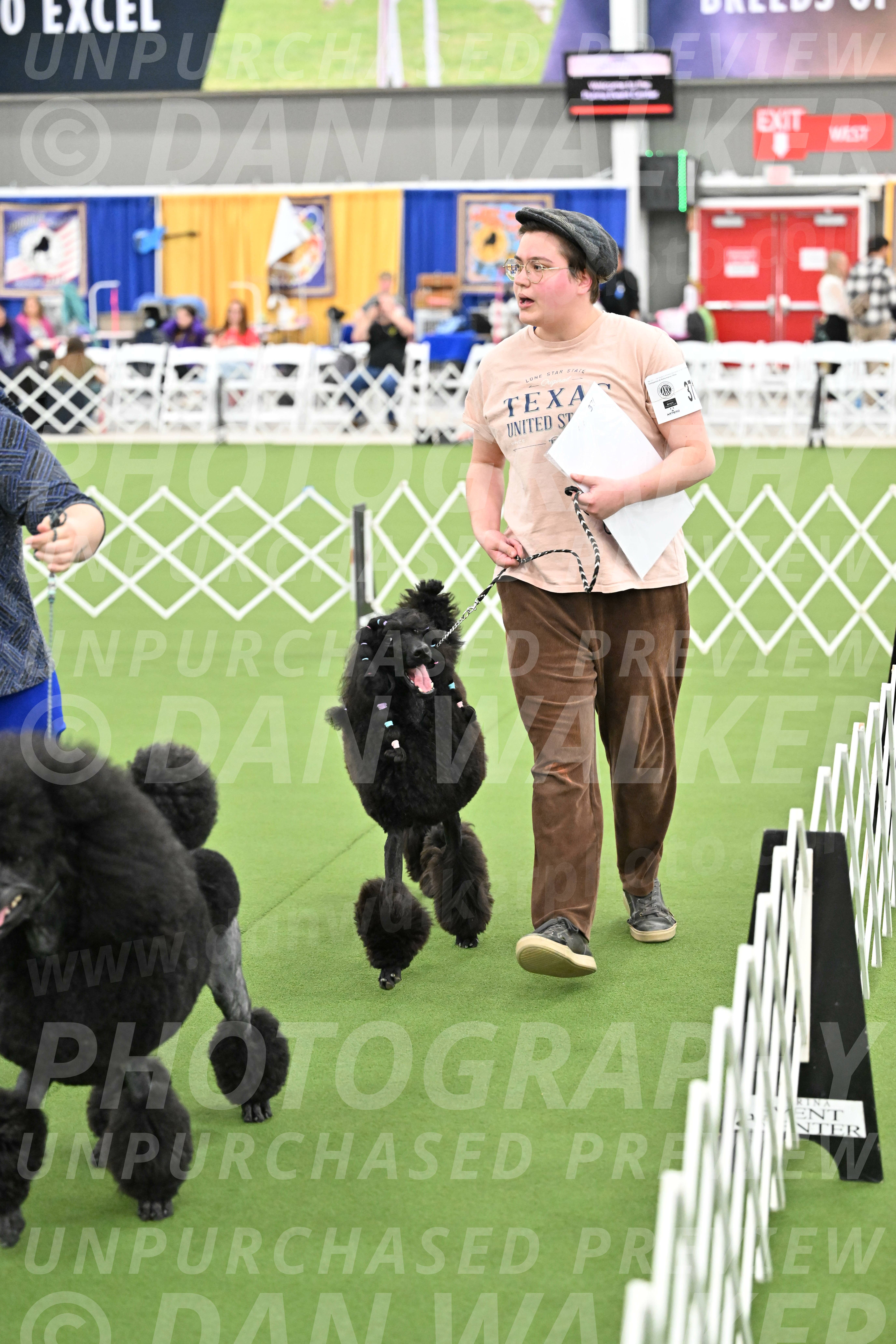Parade-of-Titles_2886