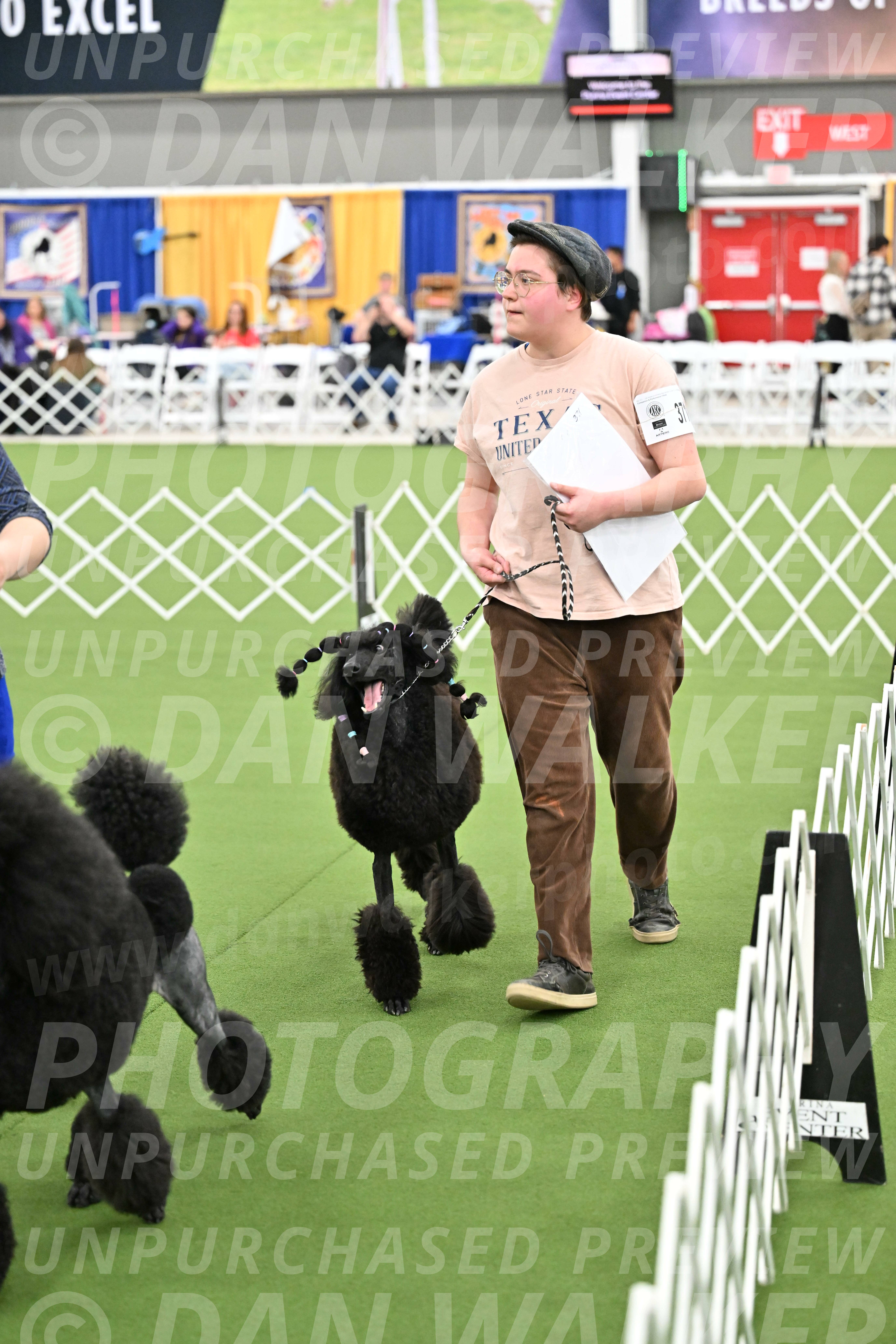 Parade-of-Titles_2887
