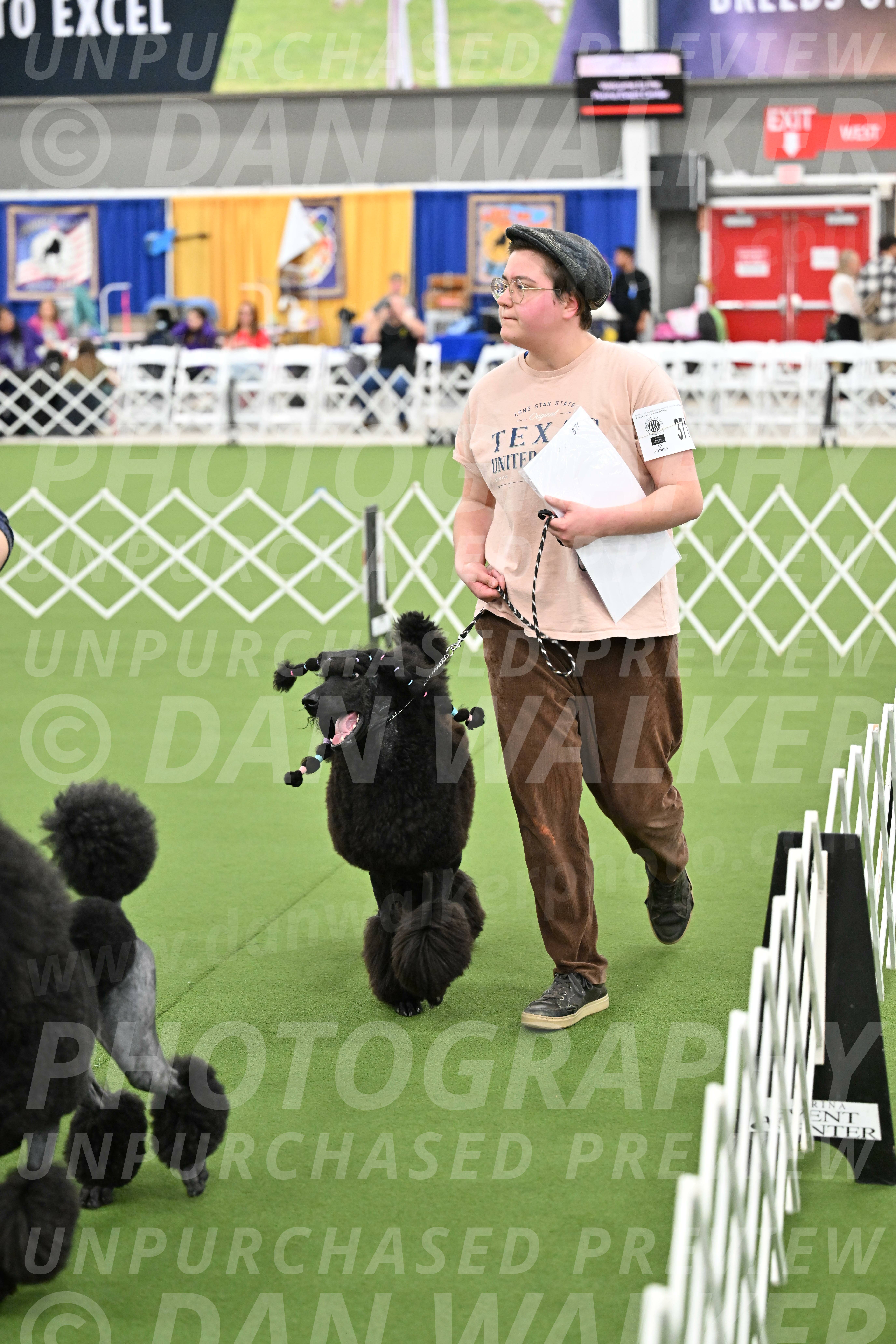 Parade-of-Titles_2888