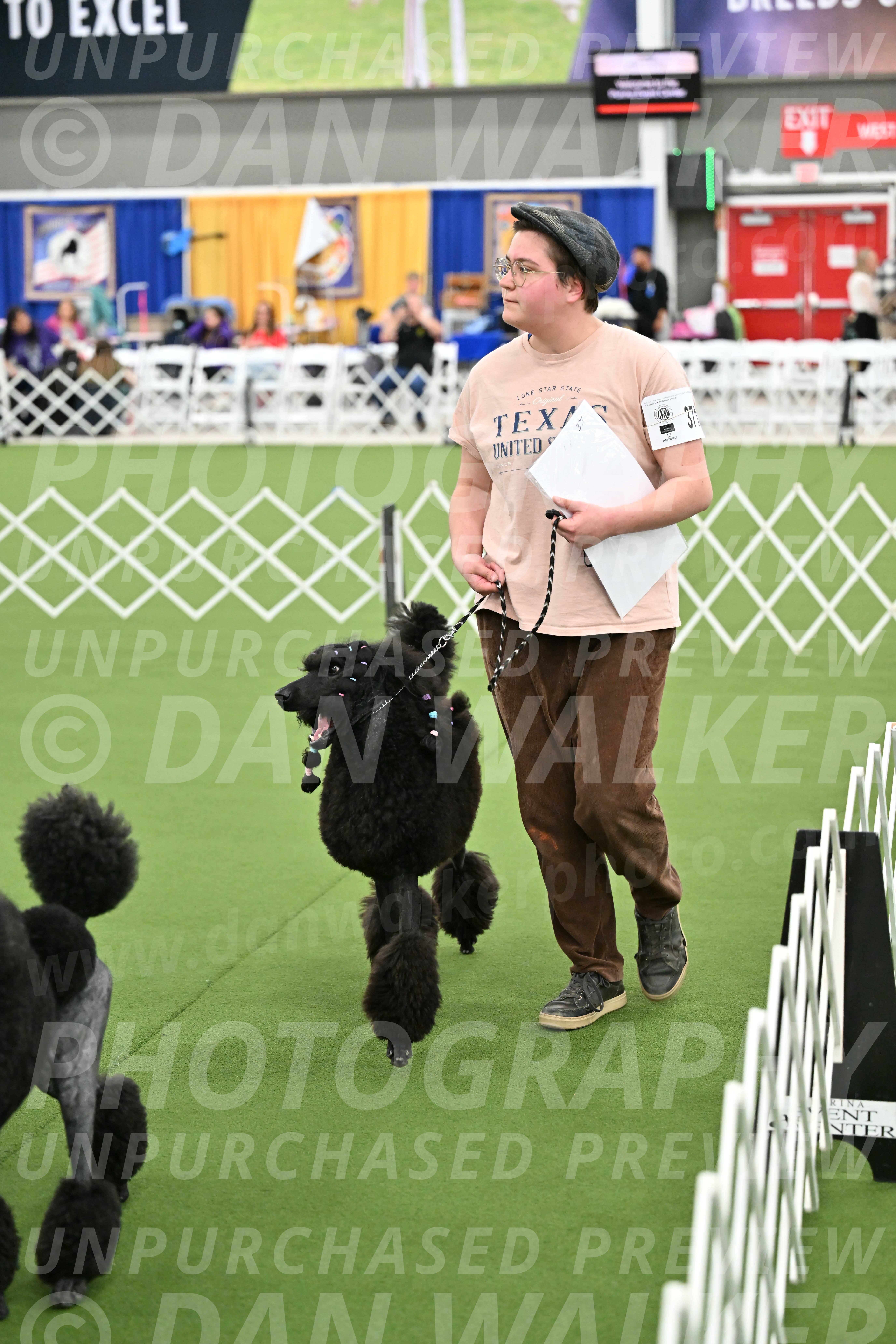 Parade-of-Titles_2889