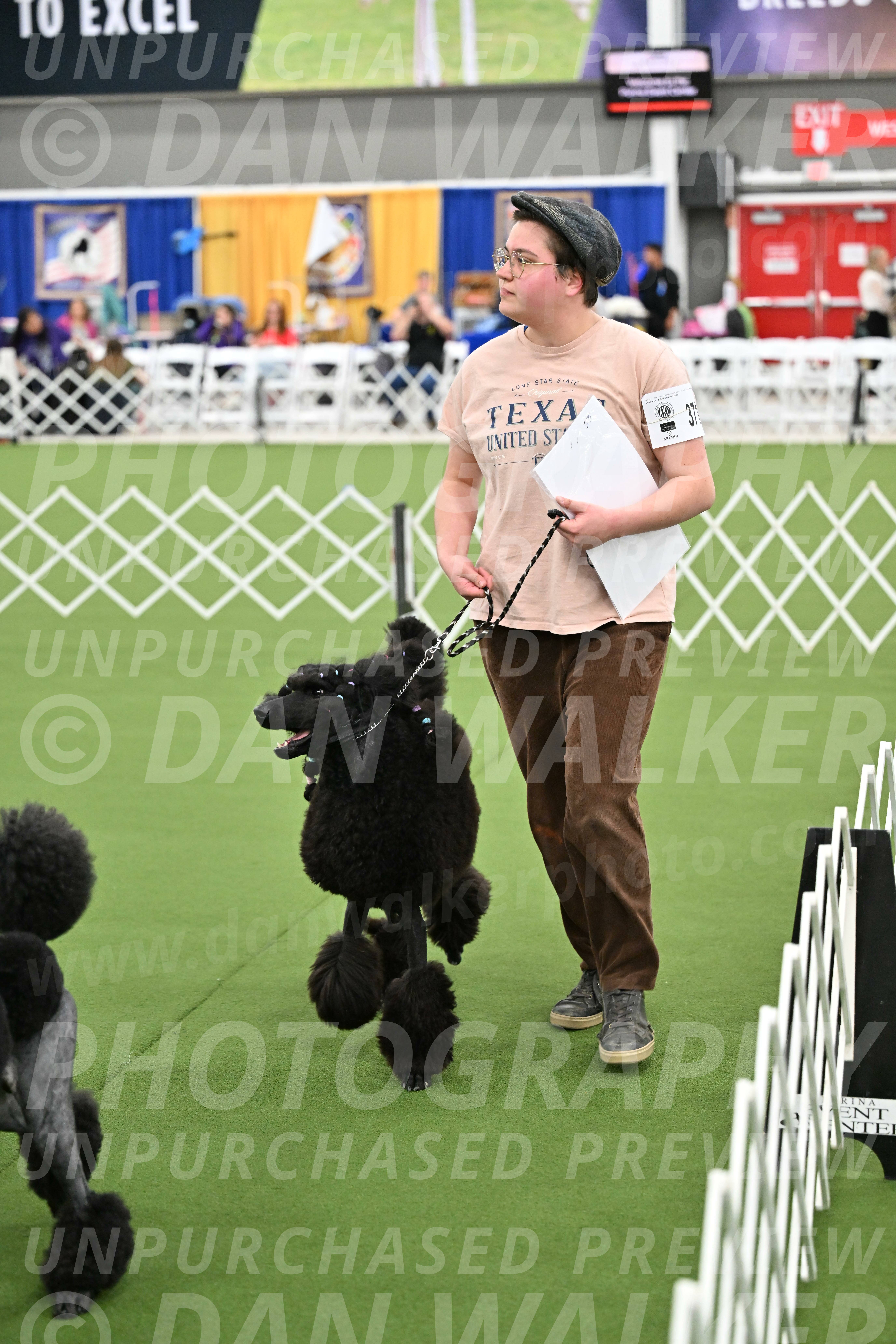 Parade-of-Titles_2890