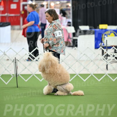 Ring-4-Afternoon-Rally_2130