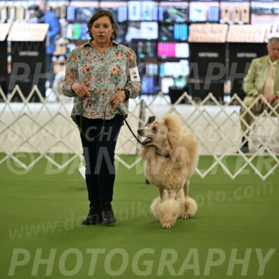 Ring-4-Afternoon-Rally_2133