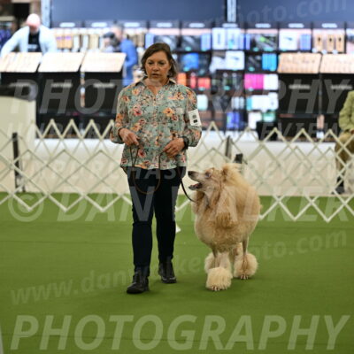 Ring-4-Afternoon-Rally_2134