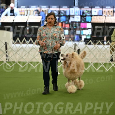 Ring-4-Afternoon-Rally_2135