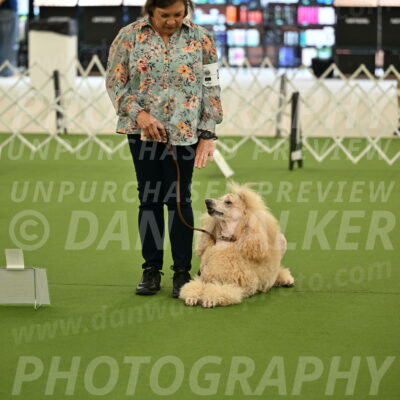 Ring-4-Afternoon-Rally_2138