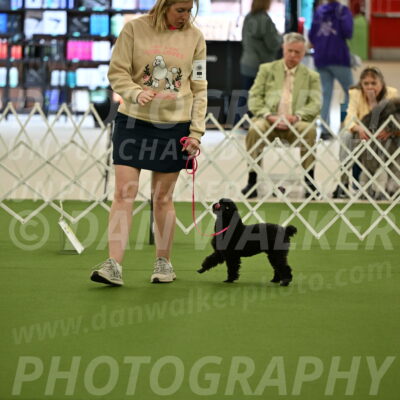 Ring-4-Afternoon-Rally_2141