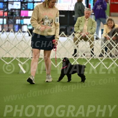 Ring-4-Afternoon-Rally_2142