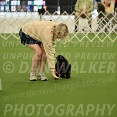 Ring-4-Afternoon-Rally_2146