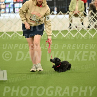 Ring-4-Afternoon-Rally_2147