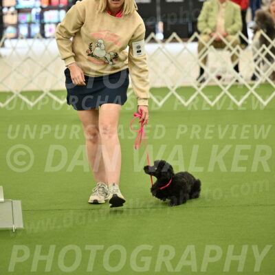 Ring-4-Afternoon-Rally_2148