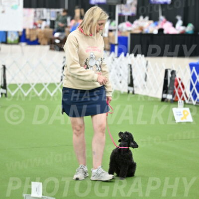 Ring-4-Afternoon-Rally_2150