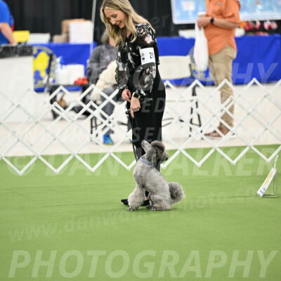 Ring-4-Afternoon-Rally_2152