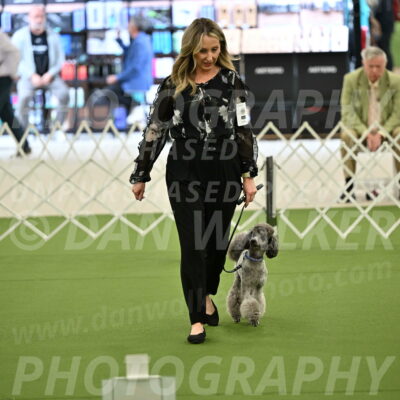 Ring-4-Afternoon-Rally_2154