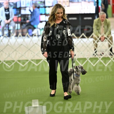 Ring-4-Afternoon-Rally_2156